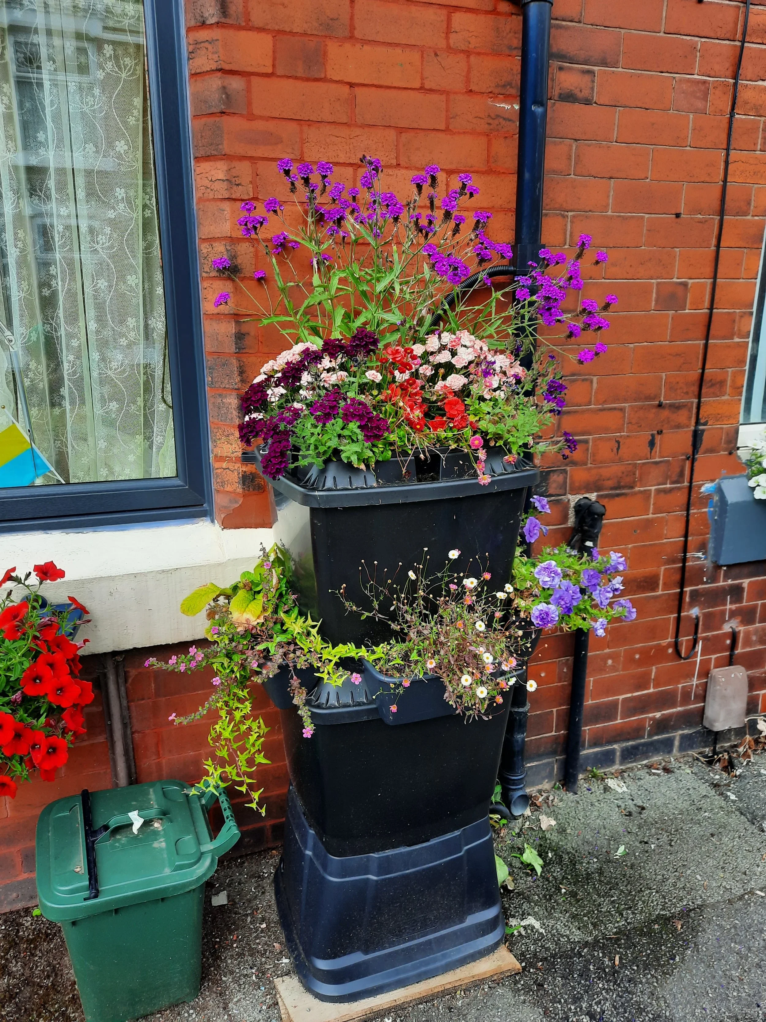 Urban greening and rewilding