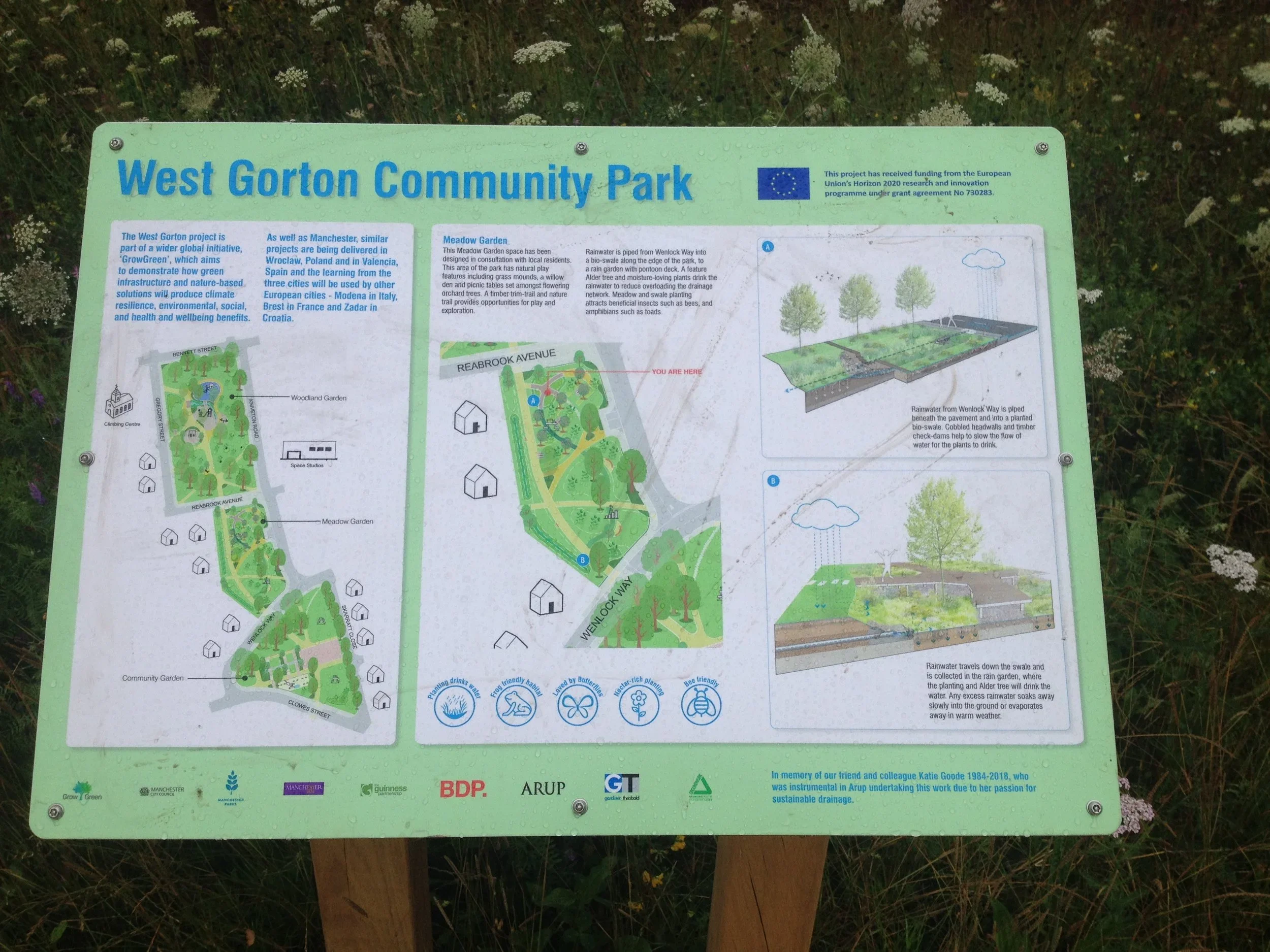 West+Gorton+Community+_Sponge_Park_IMG_3723.webp