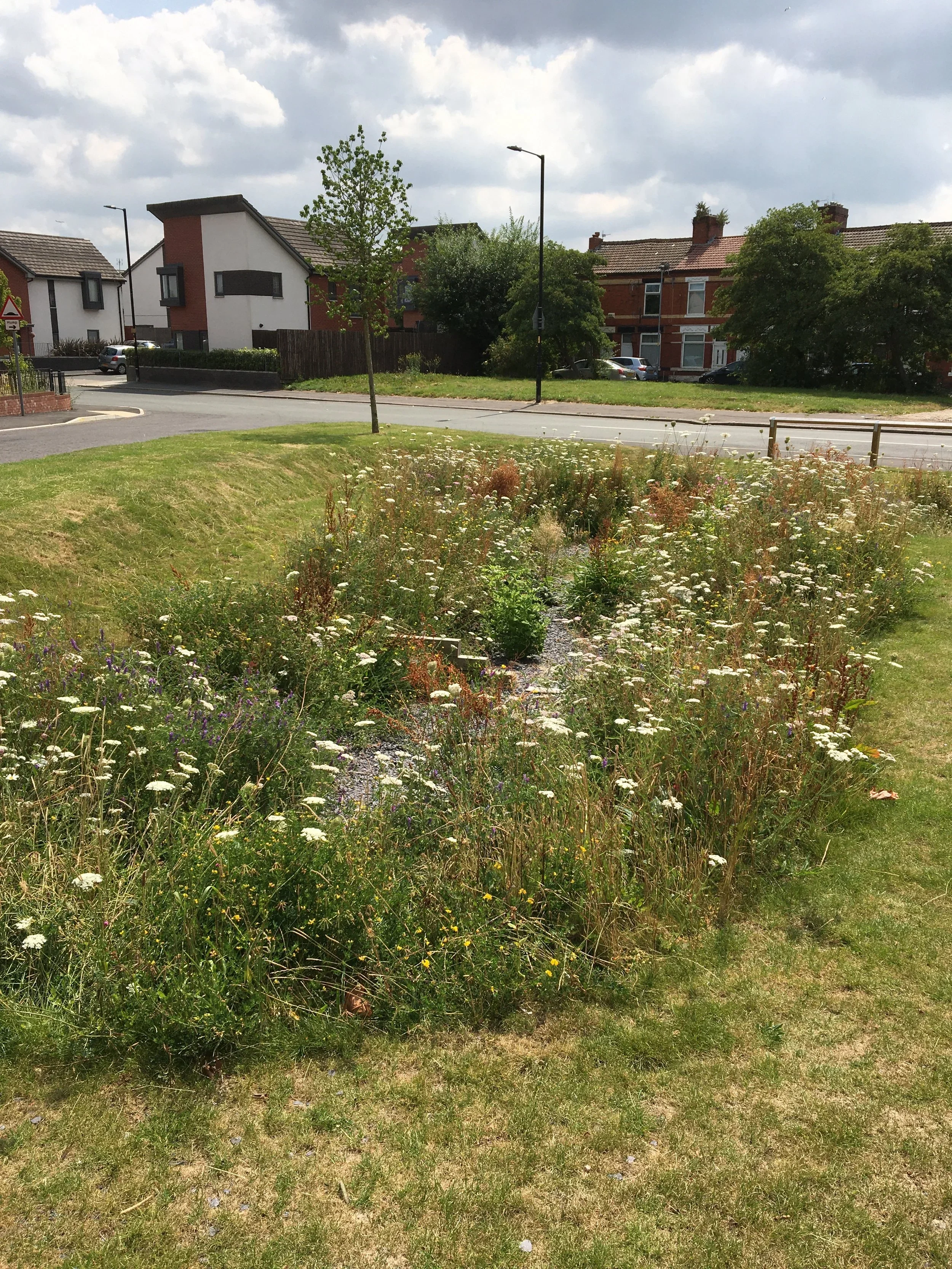 SuDS in residential area