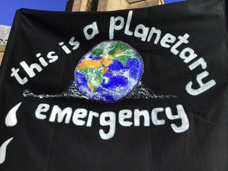 Sign that reads 'this is a plantary emergency'