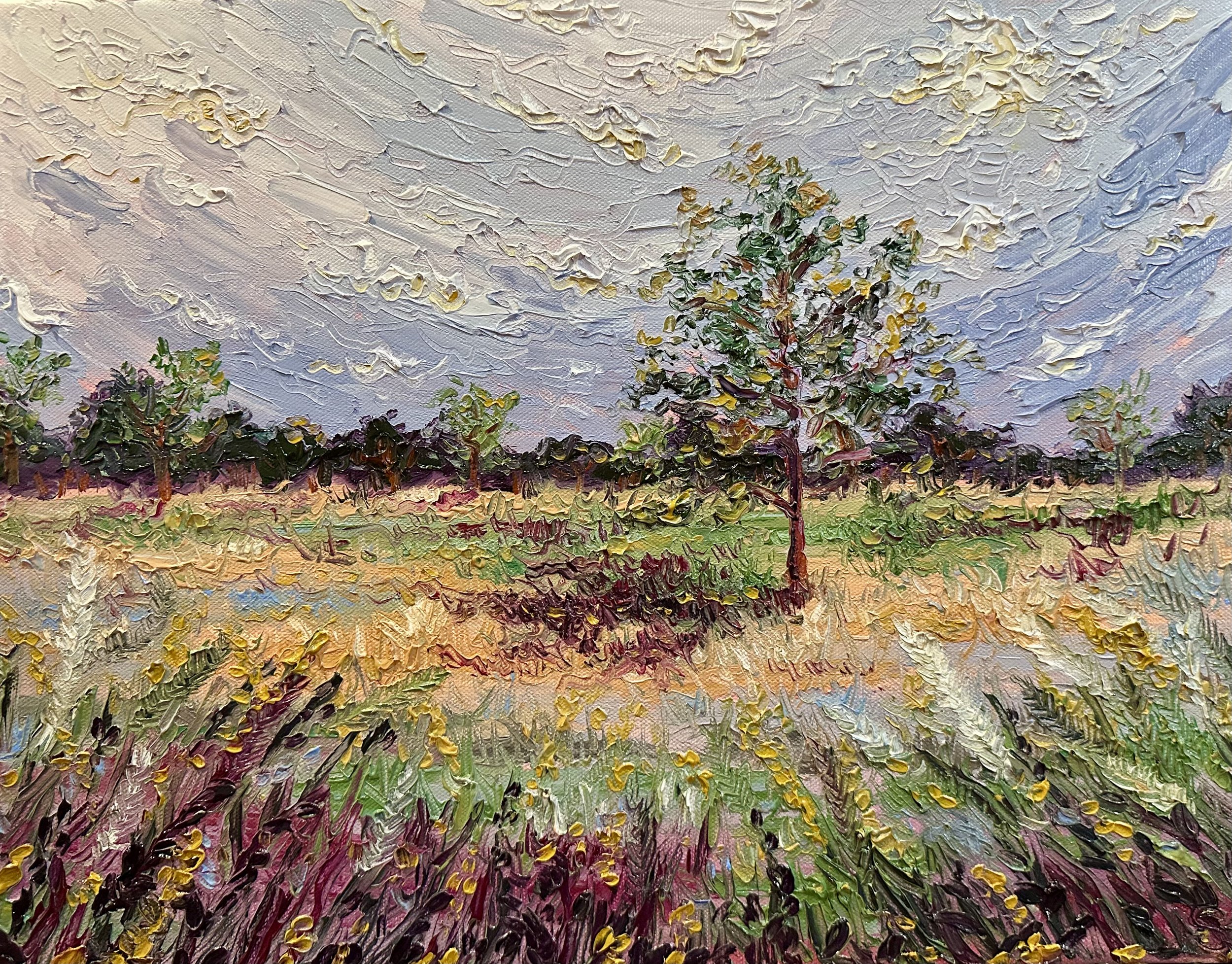 "Golden Hour" 18x14- oil on canvas