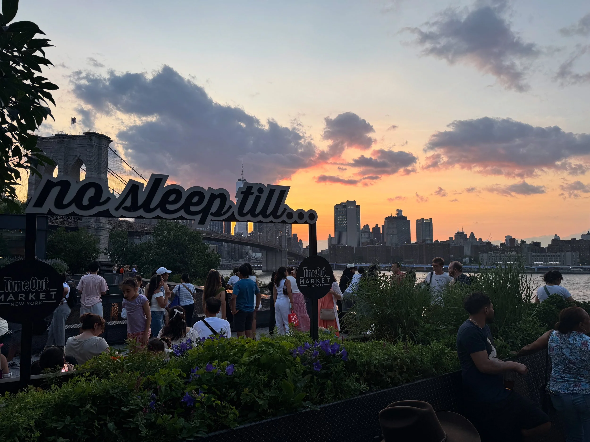 Brooklyn Bridge Park - Time Out New York View.JPG