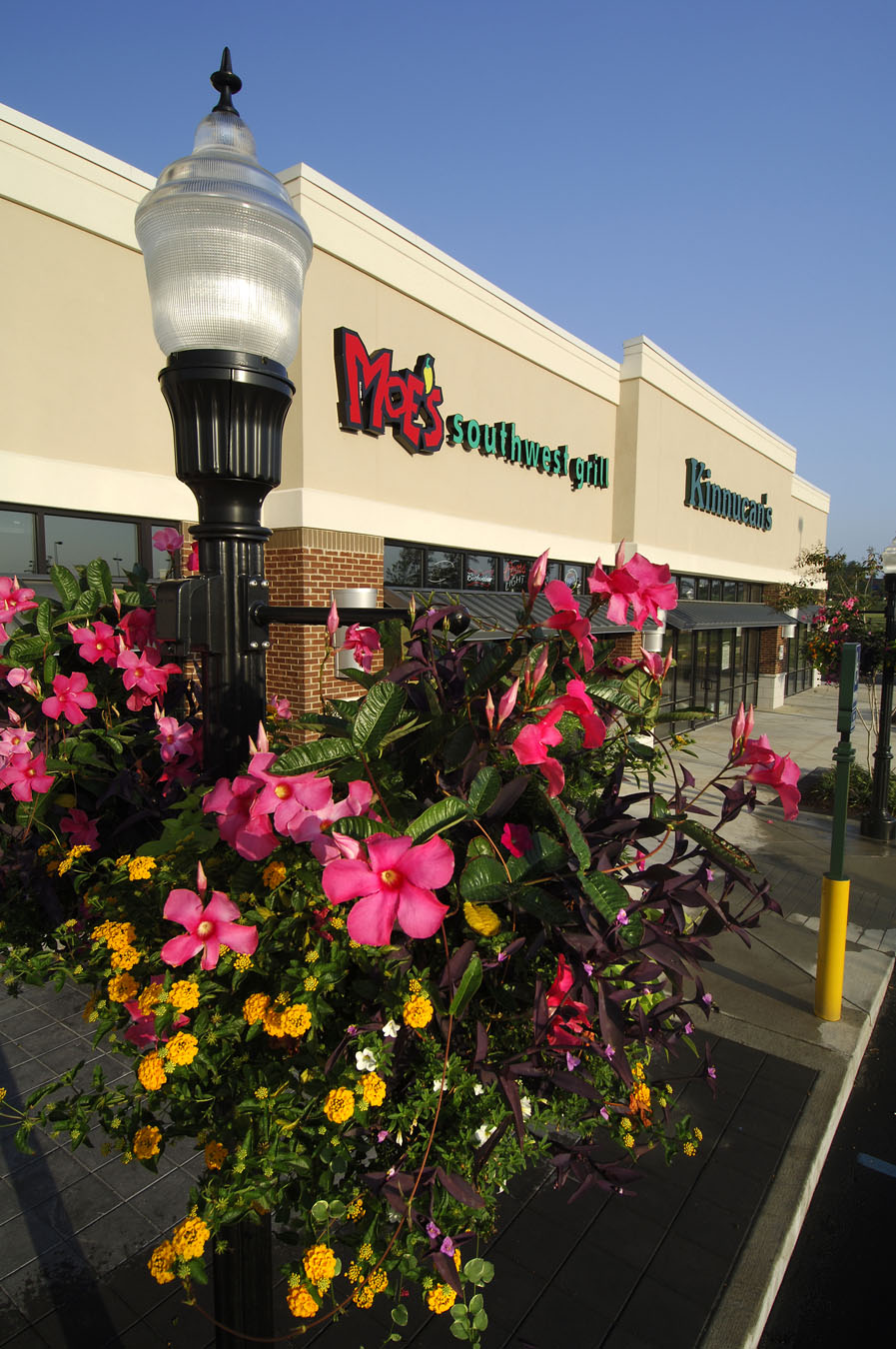 Flower Moes Labeled 092706 TigerTown Opelika AL.png