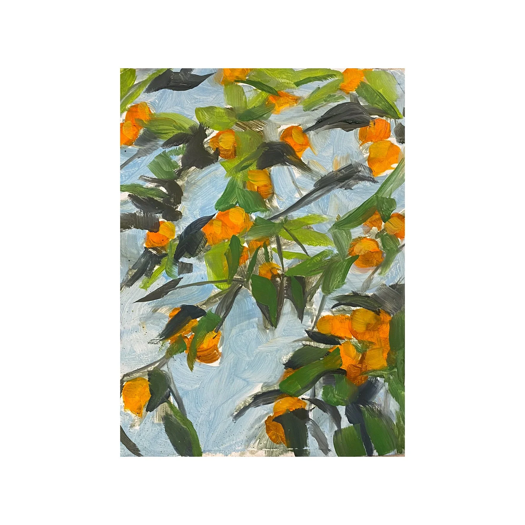Oranges (study), 2025, oil on paper — 10x12"