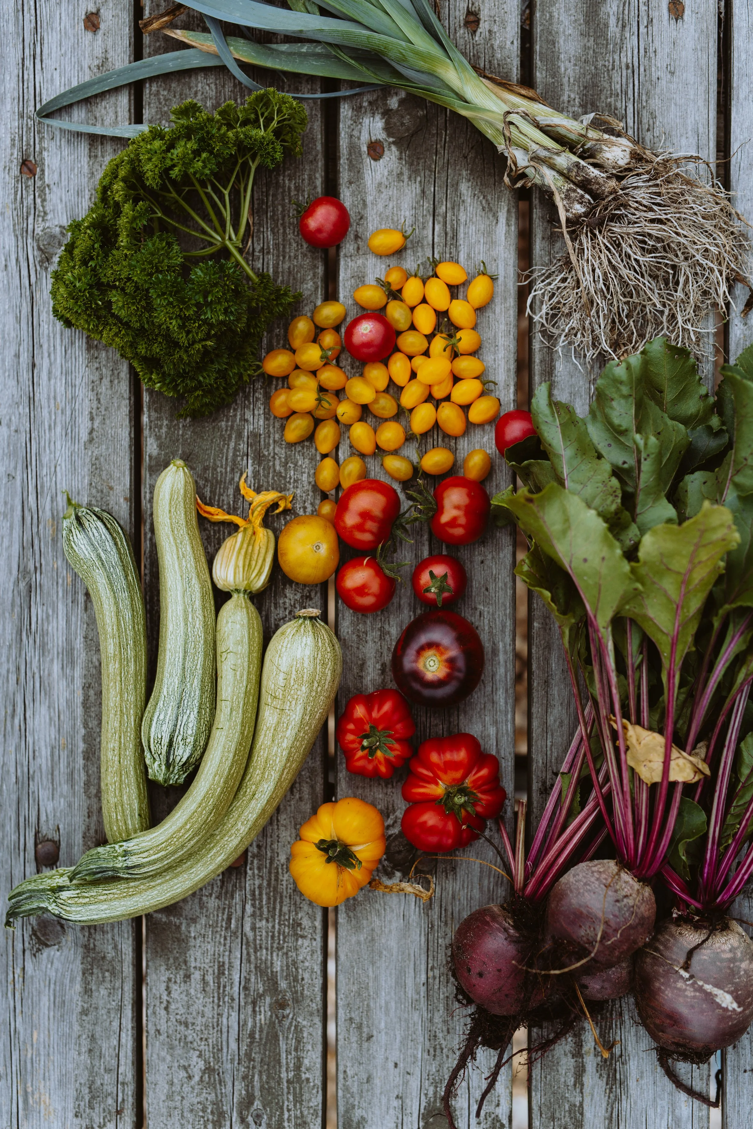 små og store gule, røde, lilla tomater, courgetter, runde rødbeder med grøn top, forårsløg og krydderurteer ligger på et træbord med patina