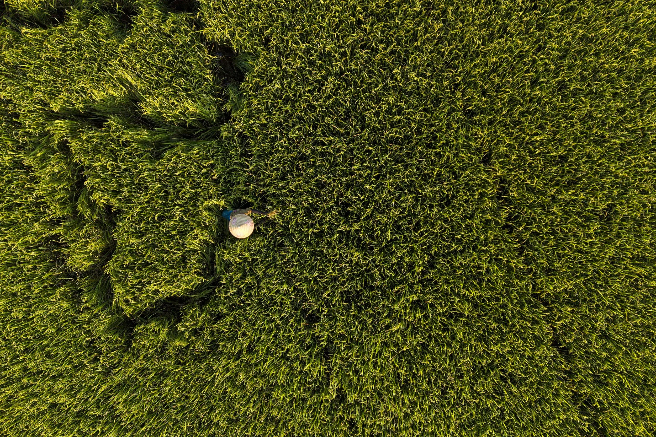 DJI_20260930110451_0100_D.jpg
