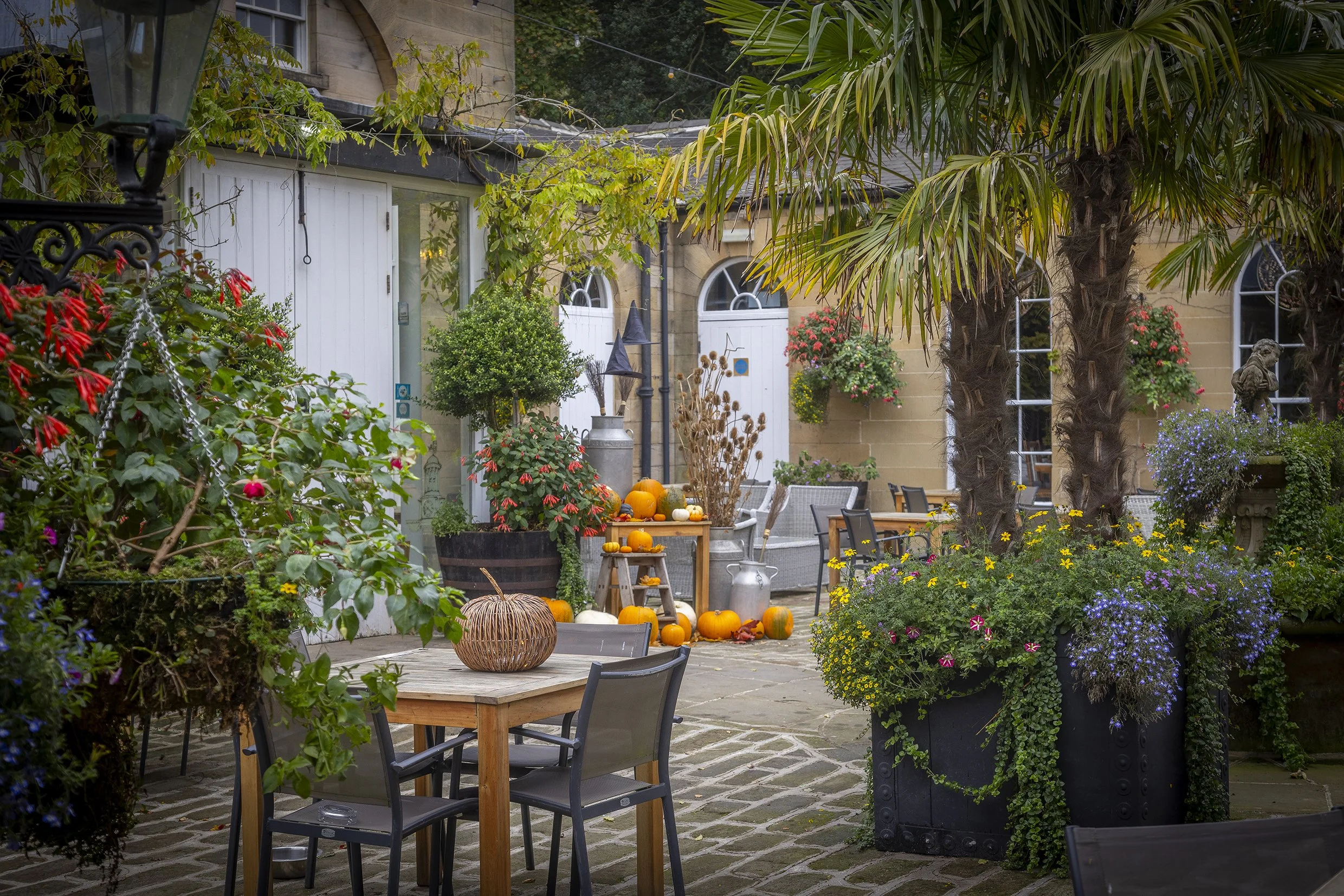 BEAMISH HALL 2024-20.jpg