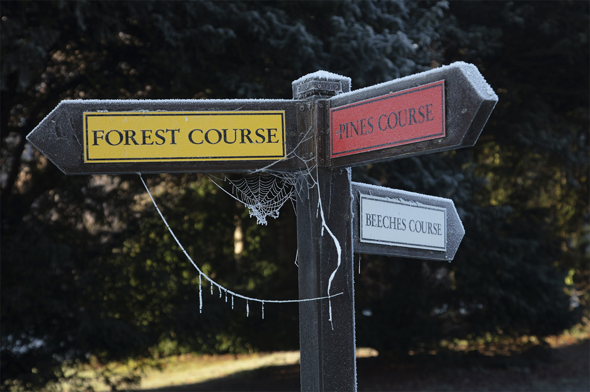 FOREST PINES GOLF.png