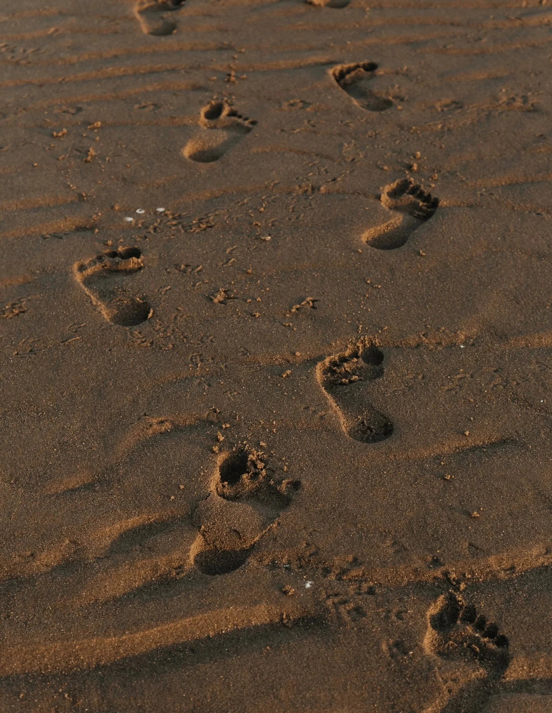 Footprints in the sand on a beach with ridges and ripples, possibly at sunset or sunrise.