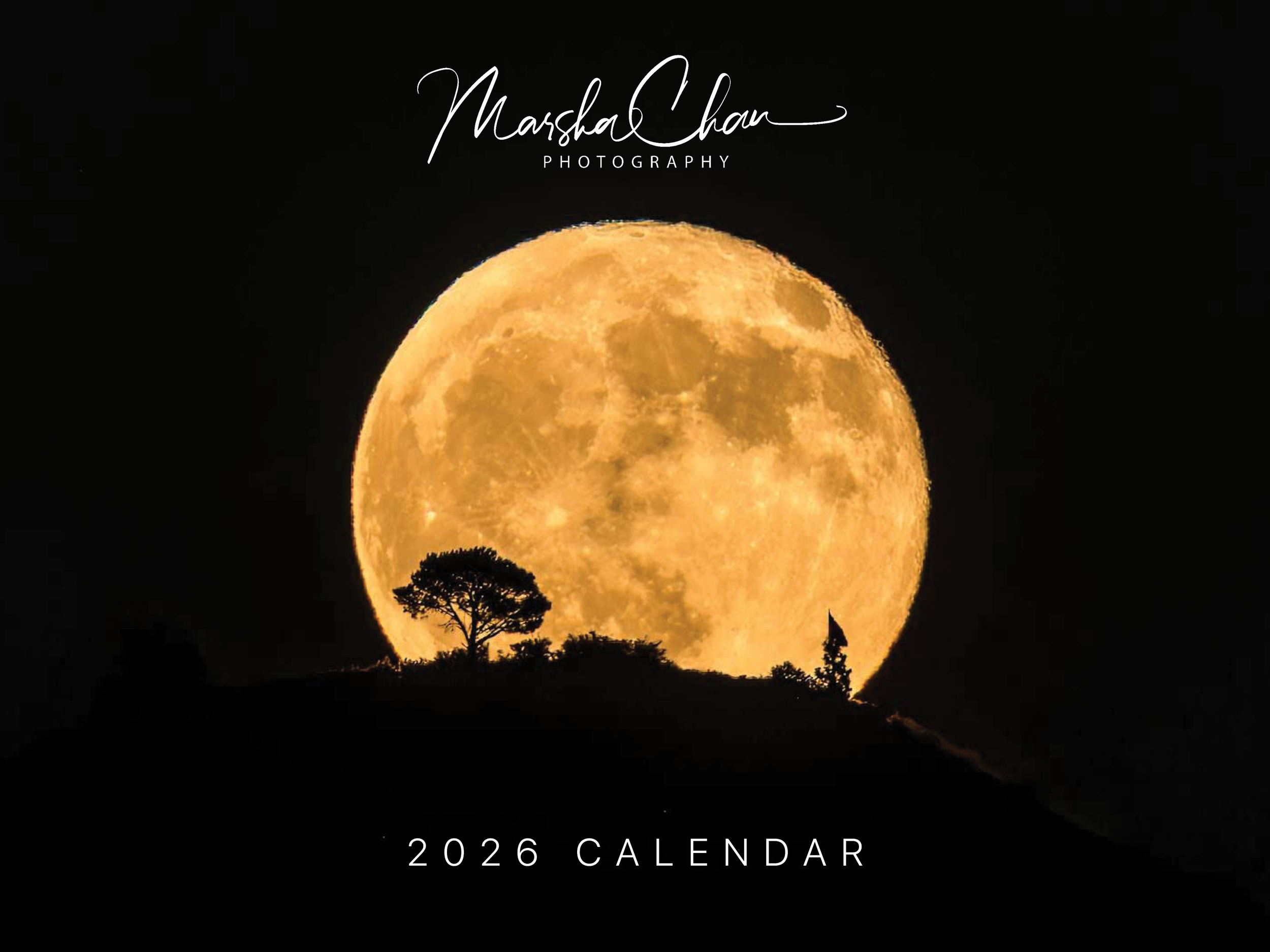 Calendar_Draft.png
