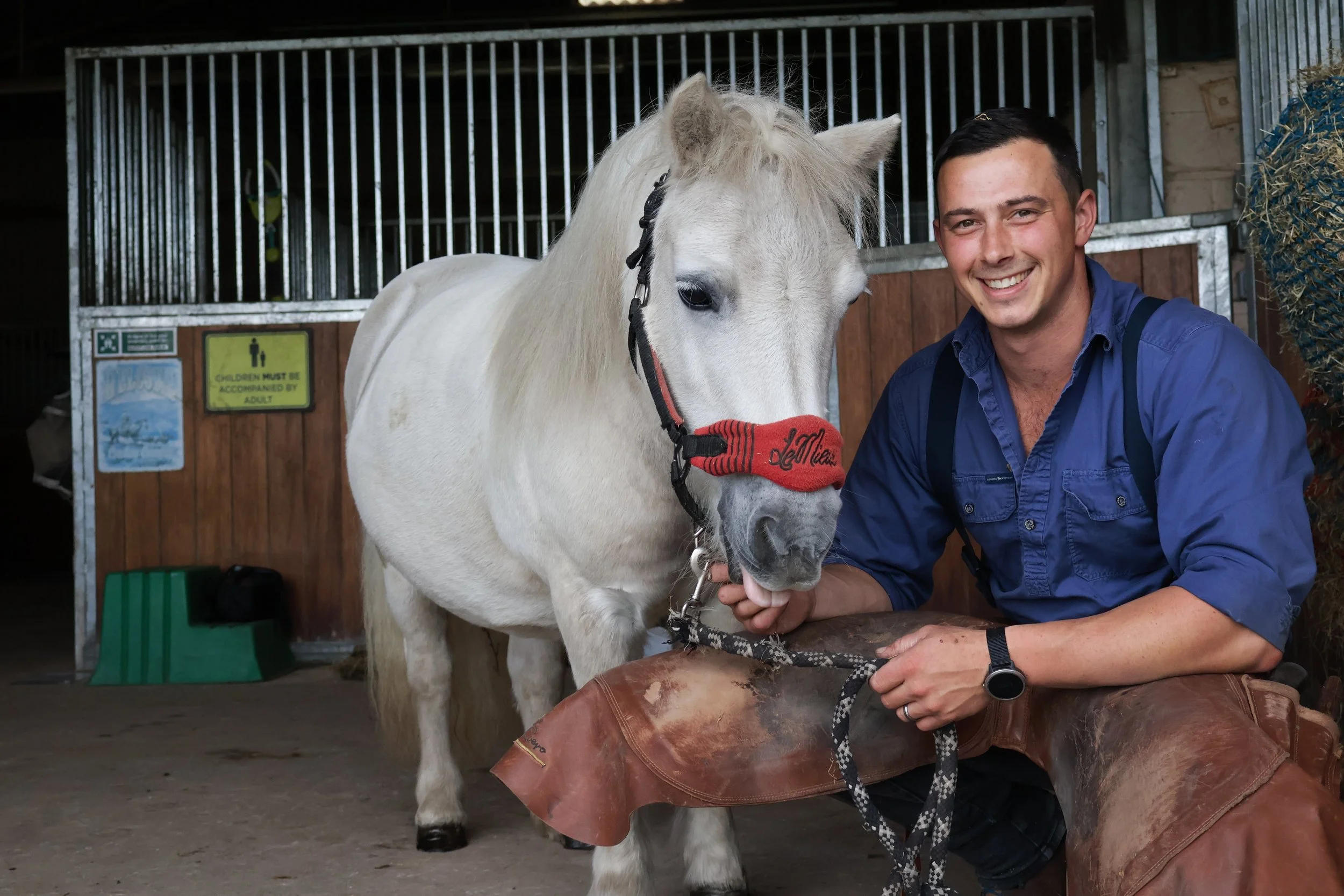 A smiling man in a blue shirt kneels beside a white Shetland pony in a stable, holding the horse's lead rope. The horse wears a red halter.