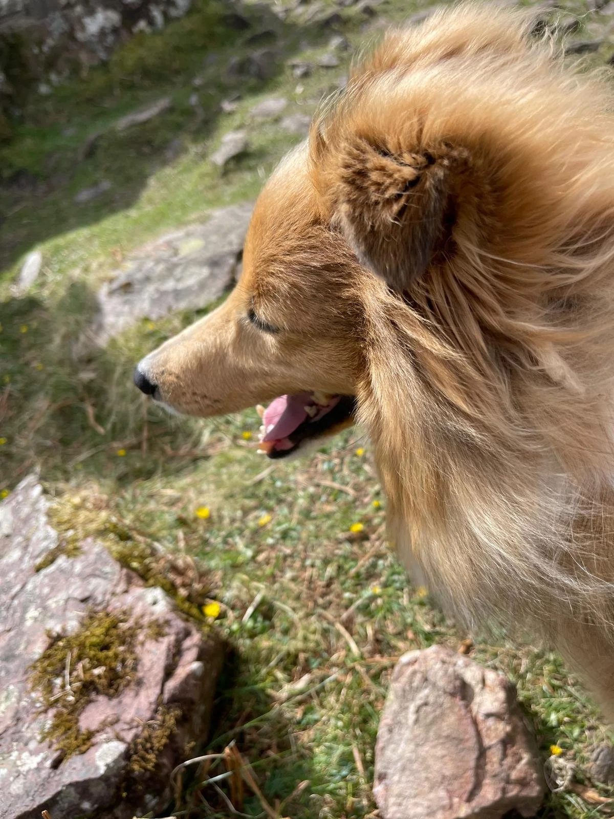 Top of a Mountain