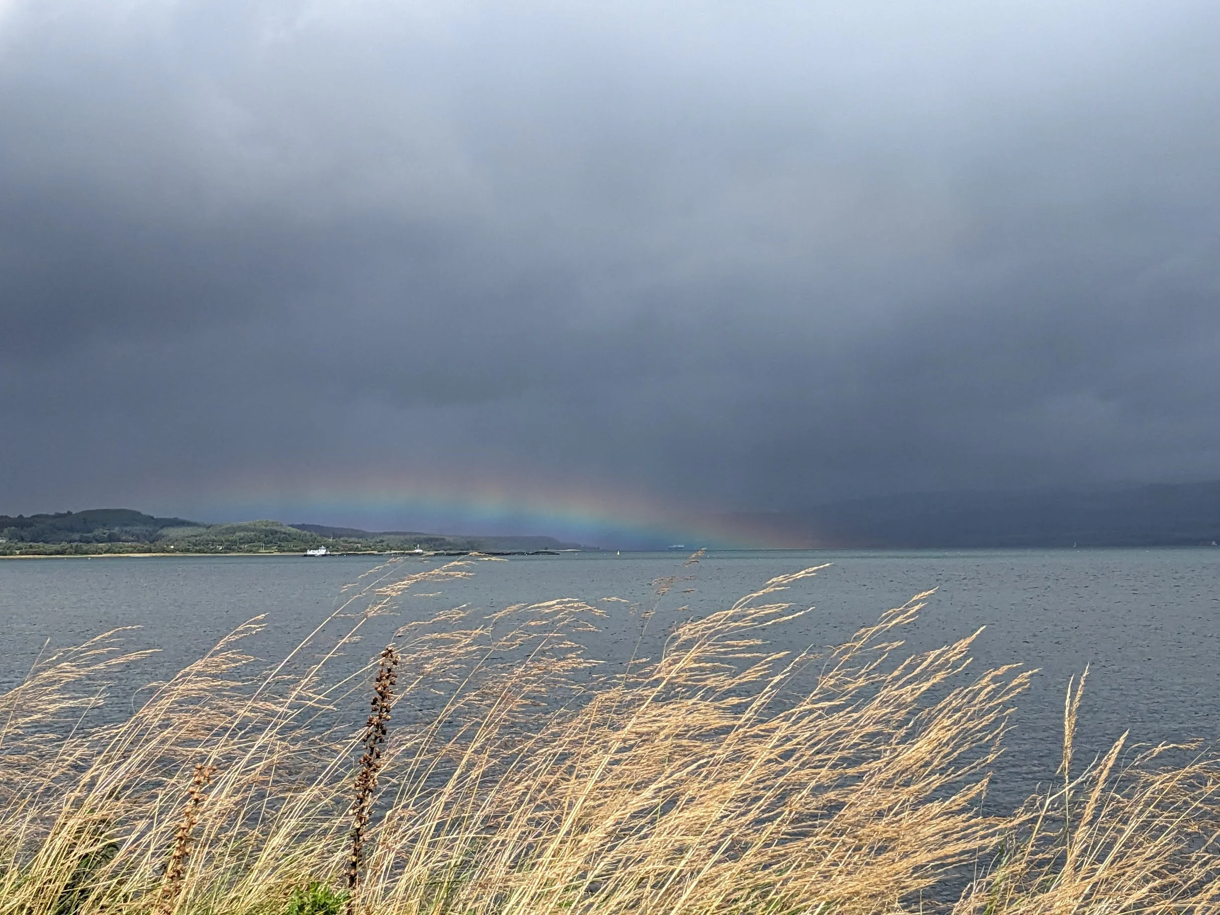A view of a grey rainstorm over the Sound of Mull on the West coast of Scotland with a faint rainbow near the horizon, foreground includes tall dry grasses.