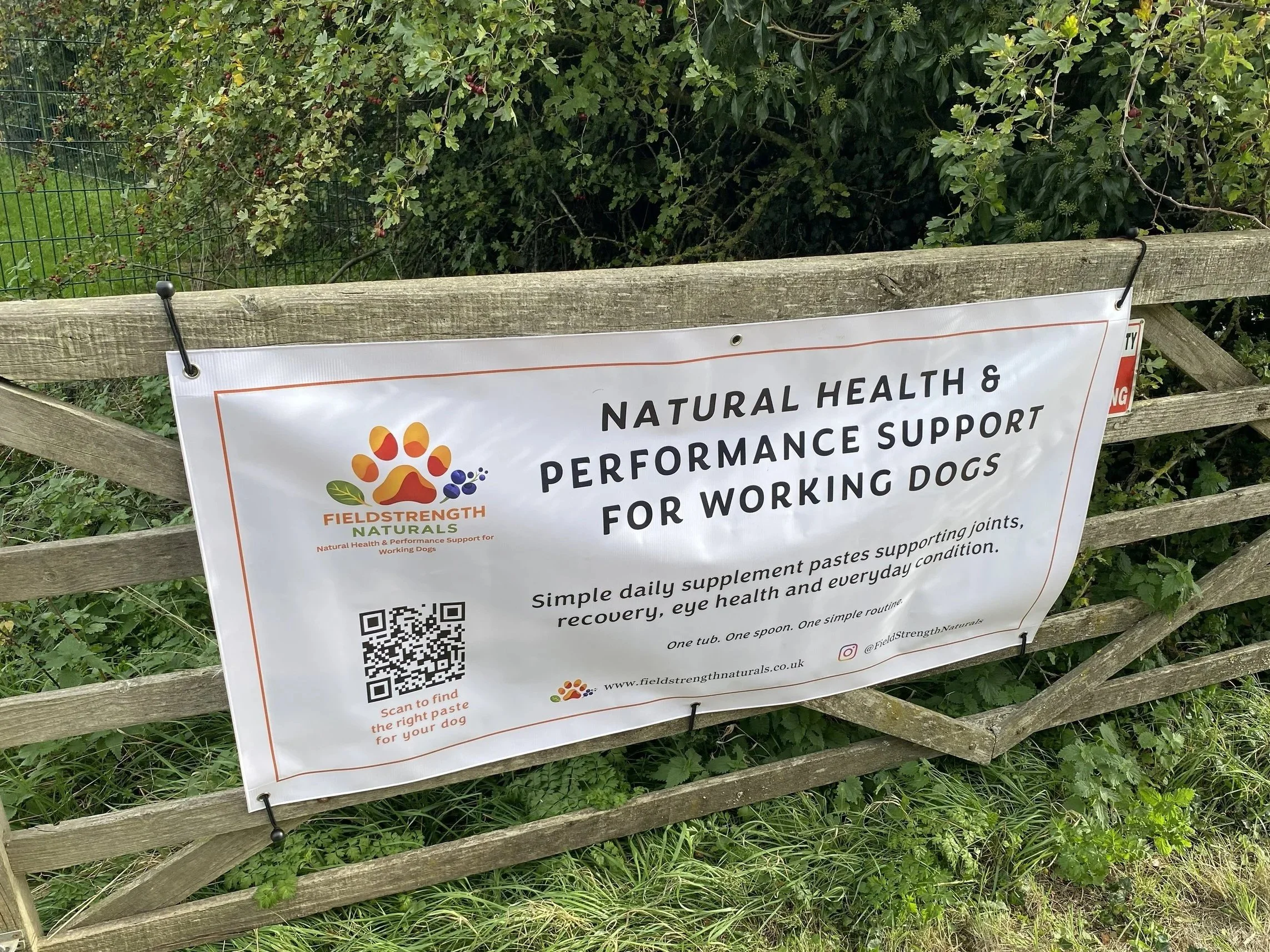 Sheep Fair Banner