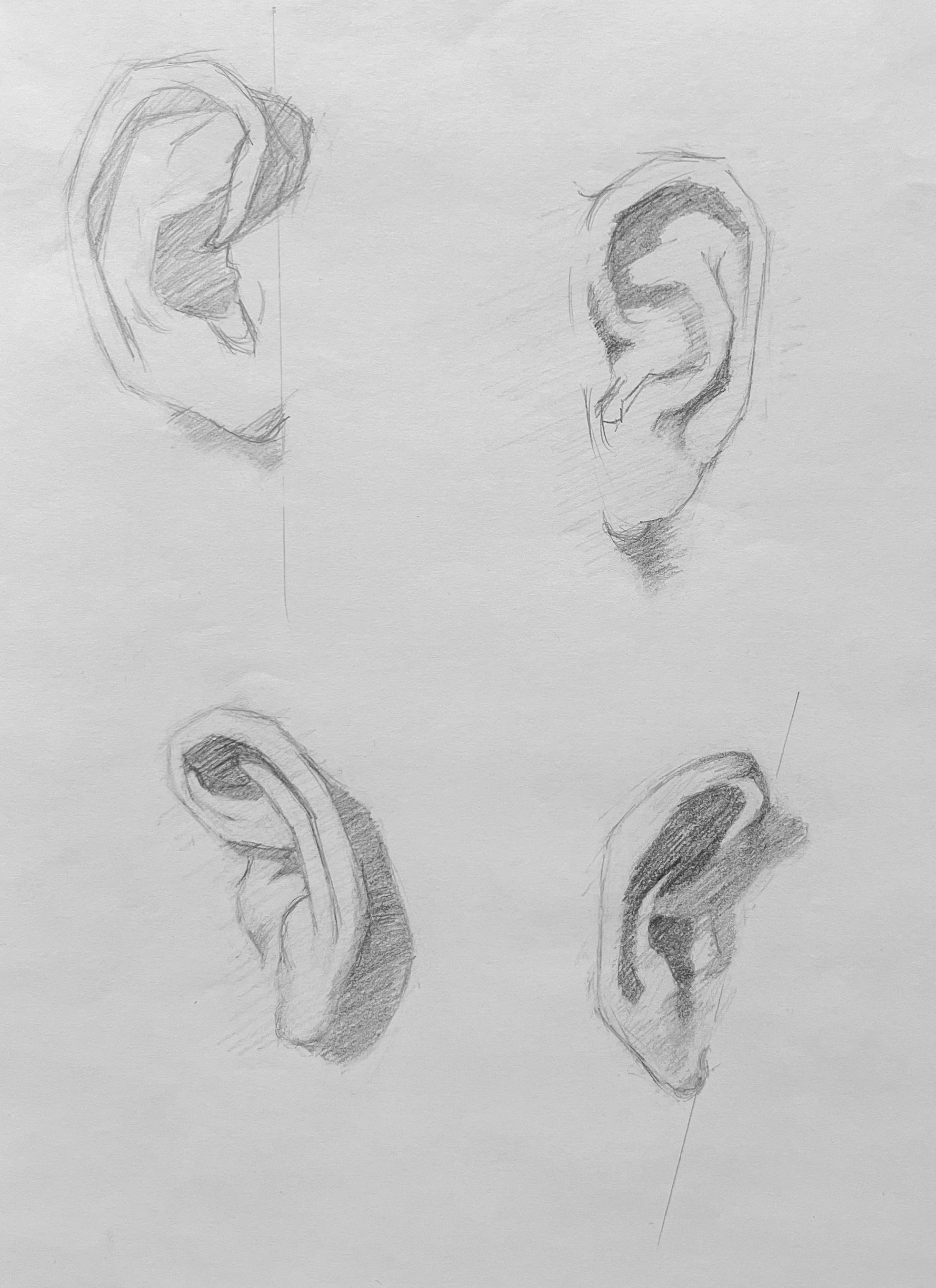 Bargue Ear Study. graphite drawing. 8 x 11 inches. (2025)