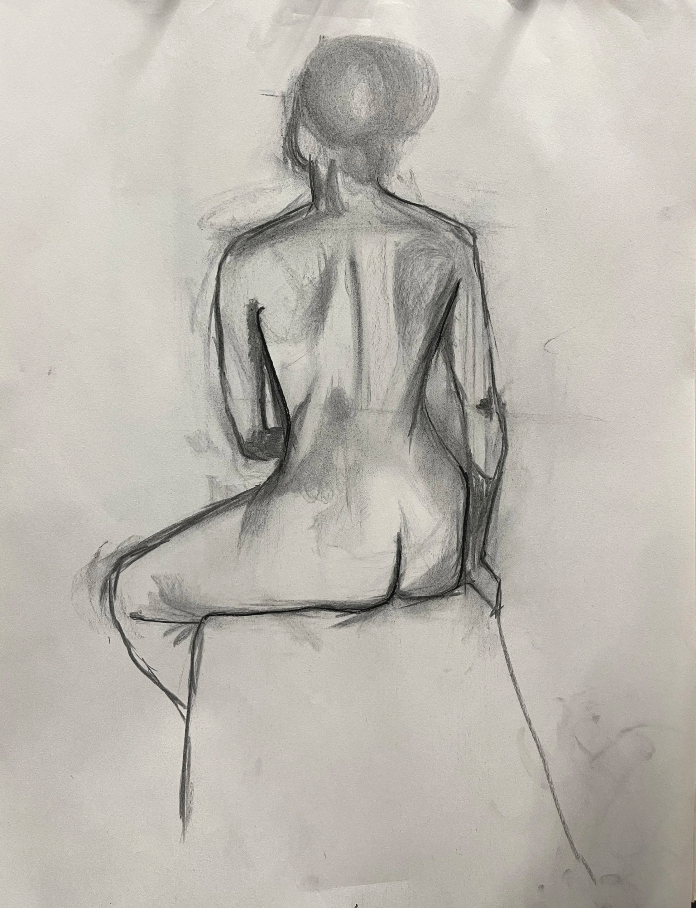 mason t classwork posterior.png