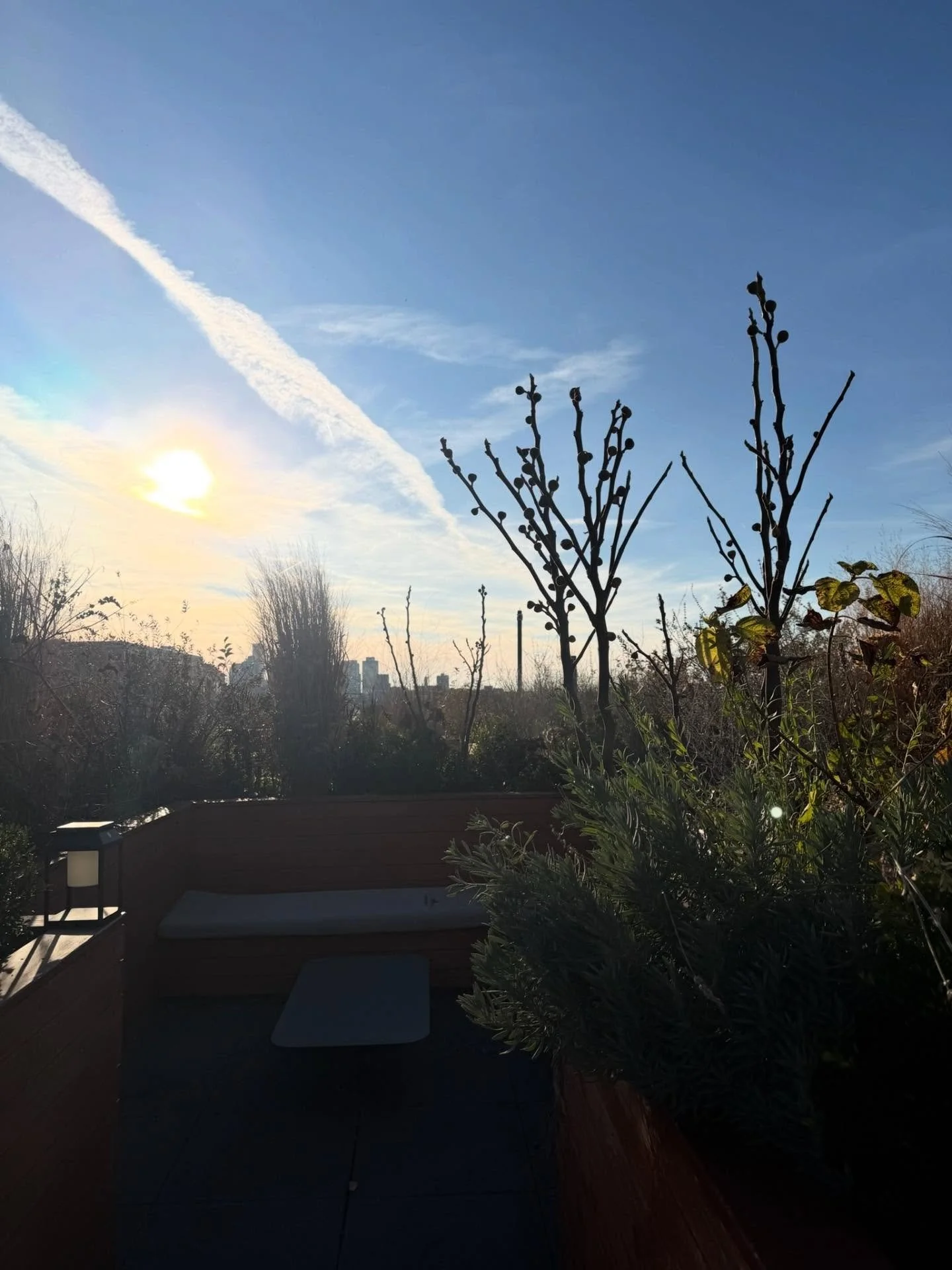 Snow&rsquo;s coming down and the cold is settling in. We&rsquo;re staying bundled up in our Carhartts! Rest assured your plants are cared for and staying cozy too. 

#OasisDesign Plantscaping &amp; Care