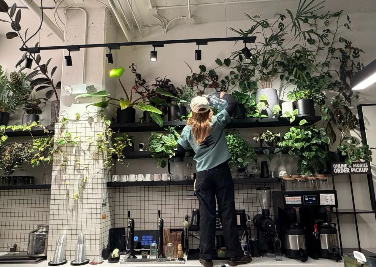 Thanks for your patience y&rsquo;all. Doing our best to get the team back out on the roads safely to give all the green friends the love and care they deserve. 

Tomorrow, Friday 1/30 &mdash; ICE OUT! Stand with Minneapolis and support the nationwide