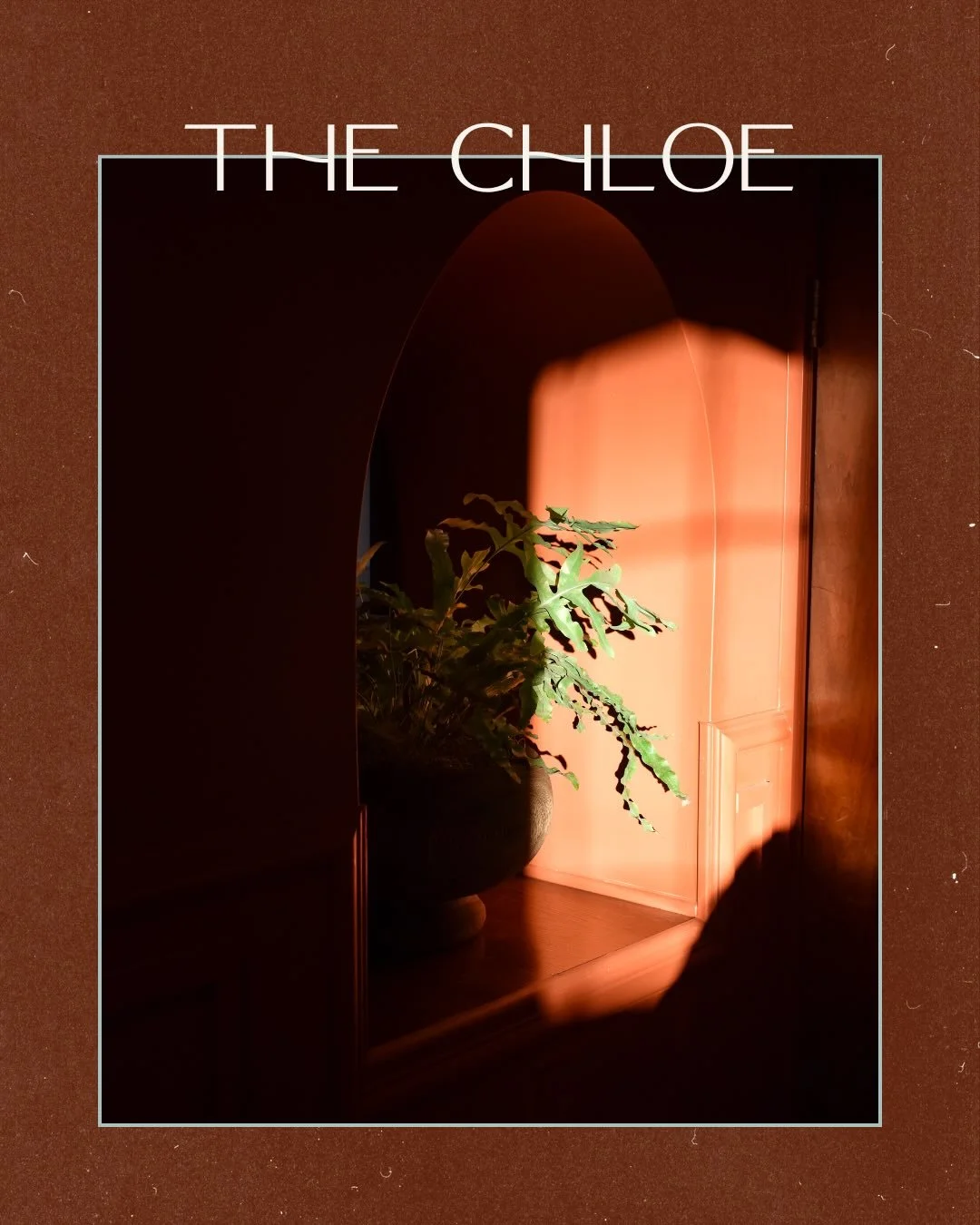 A hotel should feel like an exhale. 

For The Chloe, our goal was simple: make every corner feel intentional&mdash;warm, layered, and quietly lived-in. 

We leaned into timeless tones and tactile texture, letting greenery sit naturally alongside the 