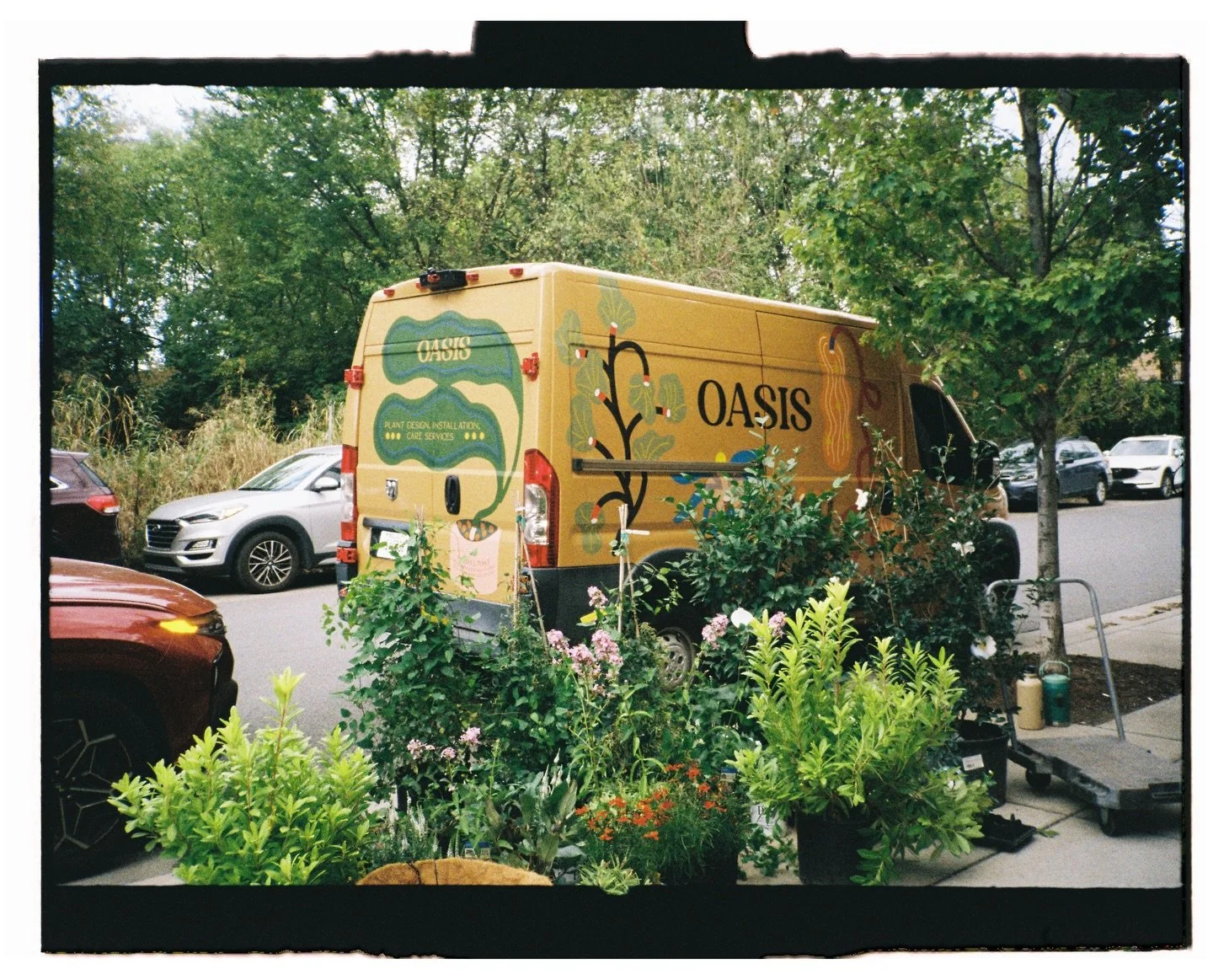 Oasis on film. 

Thanks for keeping us busy &amp; fulfilled. 

Xo