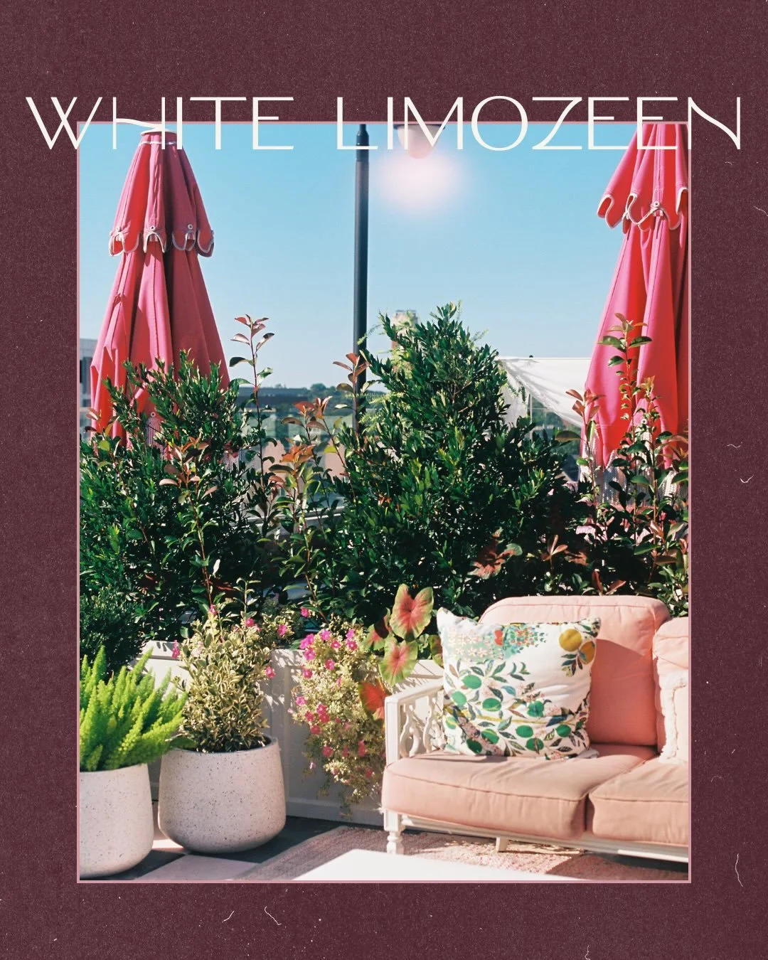 Welcome to White Limozeen. 

A high-energy, pink powered rooftop oasis with Dolly Parton as the main character. Designed to feel lush and unforgettable. We went for drama &mdash; layering jungle-inspired plants for that immaculate Palm Beach vibe.

P