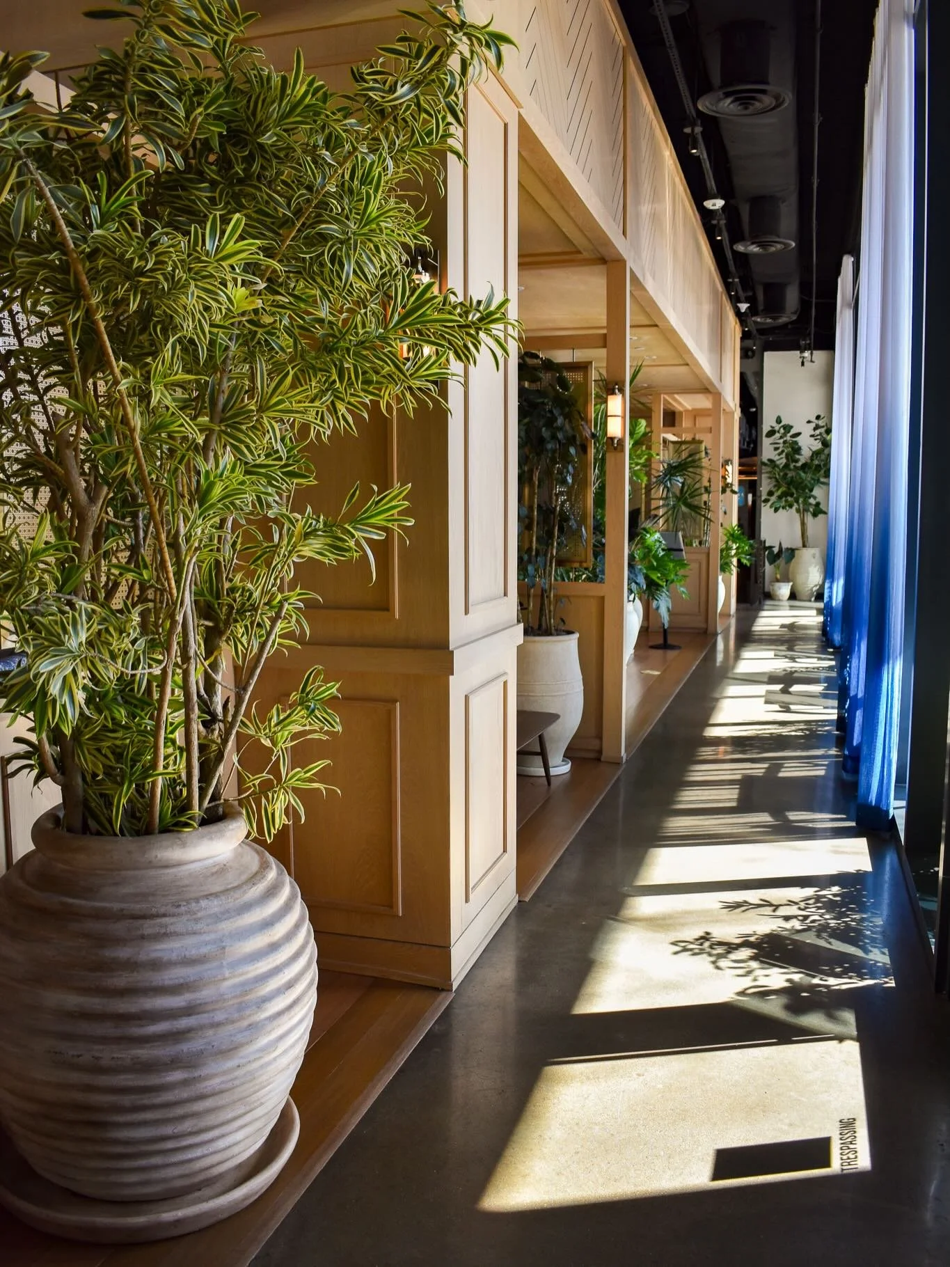 The opening of Zaytinya marks the&nbsp;second evolution of this space, a continuation of our 5-year partnership with&nbsp;W Hotel. This time, a collaboration with&nbsp;Jos&eacute; Andr&eacute;s Group&nbsp;and&nbsp;Rockwell Group, an exciting opportun