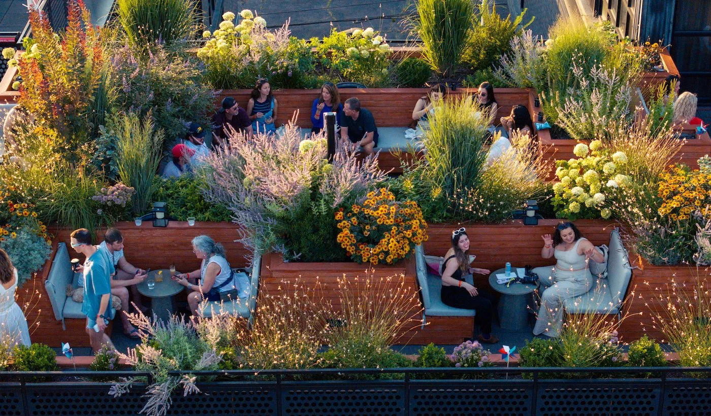 Our Favorite Native Perennials for Zone 7b Nashville Gardens