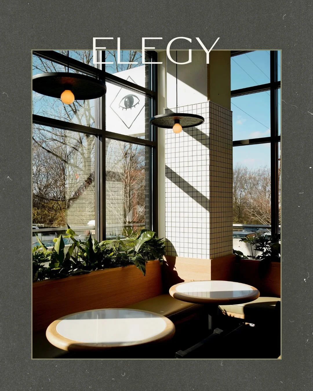 Elegy Coffee is a plant lover&rsquo;s dream&mdash;playful, a little wild, and full of life. As one of Oasis&rsquo; very first clients, it&rsquo;s a space we&rsquo;ve grown with over time, layering in greenery across all four locations in a way that f