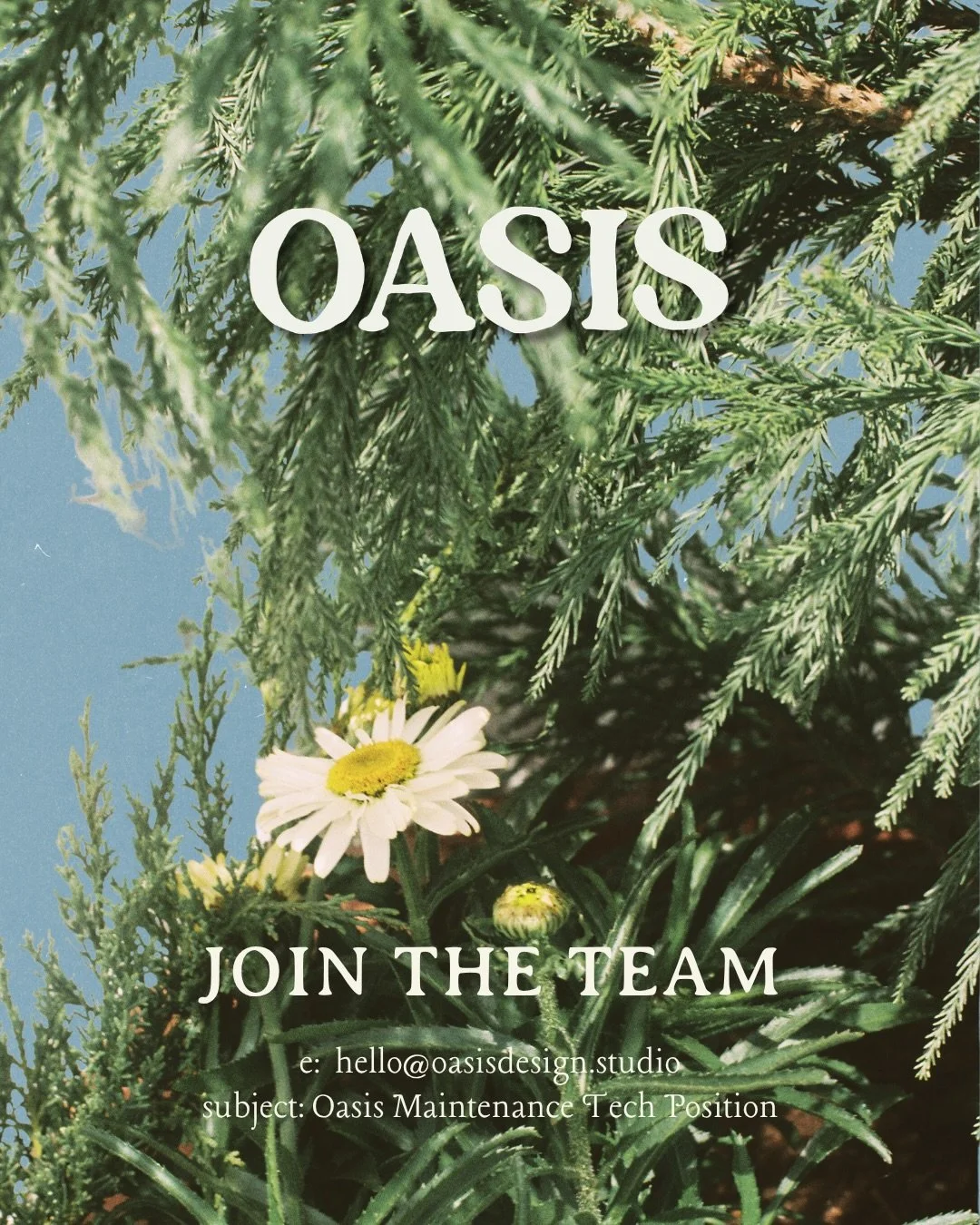 We keep on growin&rsquo;

Looking for a plant-loving maintenance tech to keep our green friends thriving! If you&rsquo;ve got a green thumb and an eye for detail, come join the team. 

💚