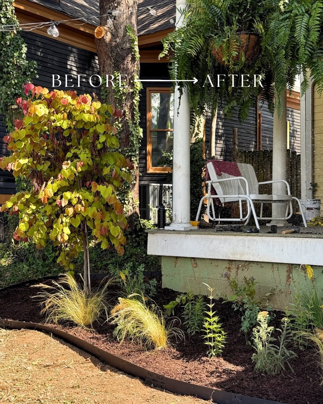 A fun banger for our friends @thundermooncollective ✨

Nina was looking for a clean slate and a colorful garden to complement her vibrant space. We went warm and hardy &mdash; pops of yellow, peach, orange and purple with Kniphofia, Yarrow, Echinacea