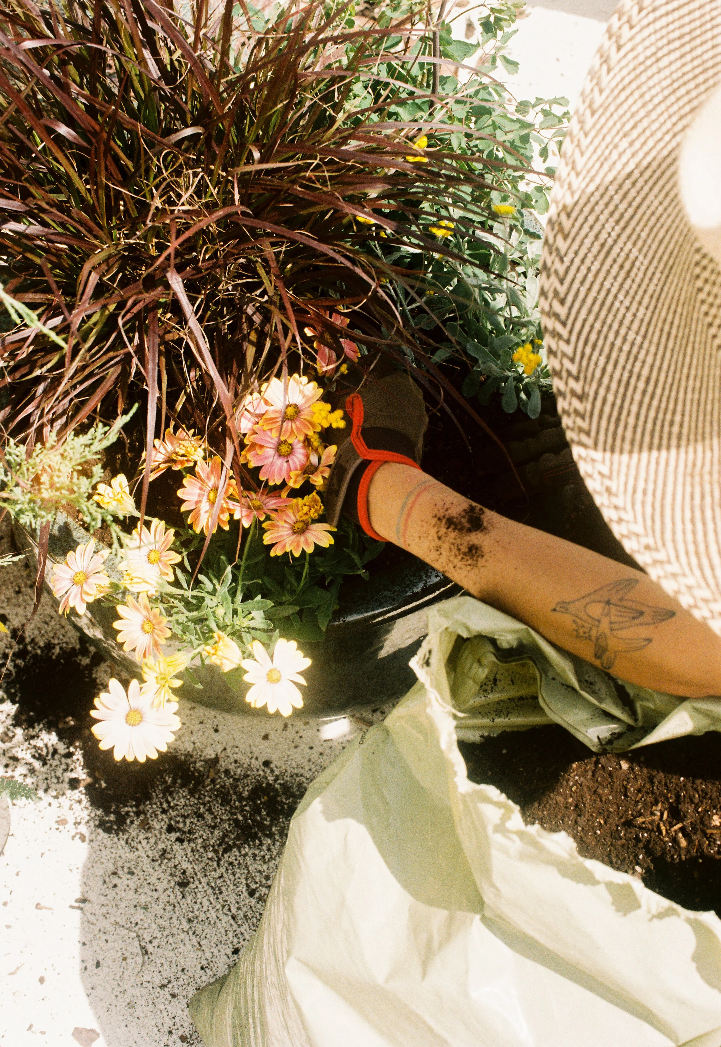 Why Gardening is Healing