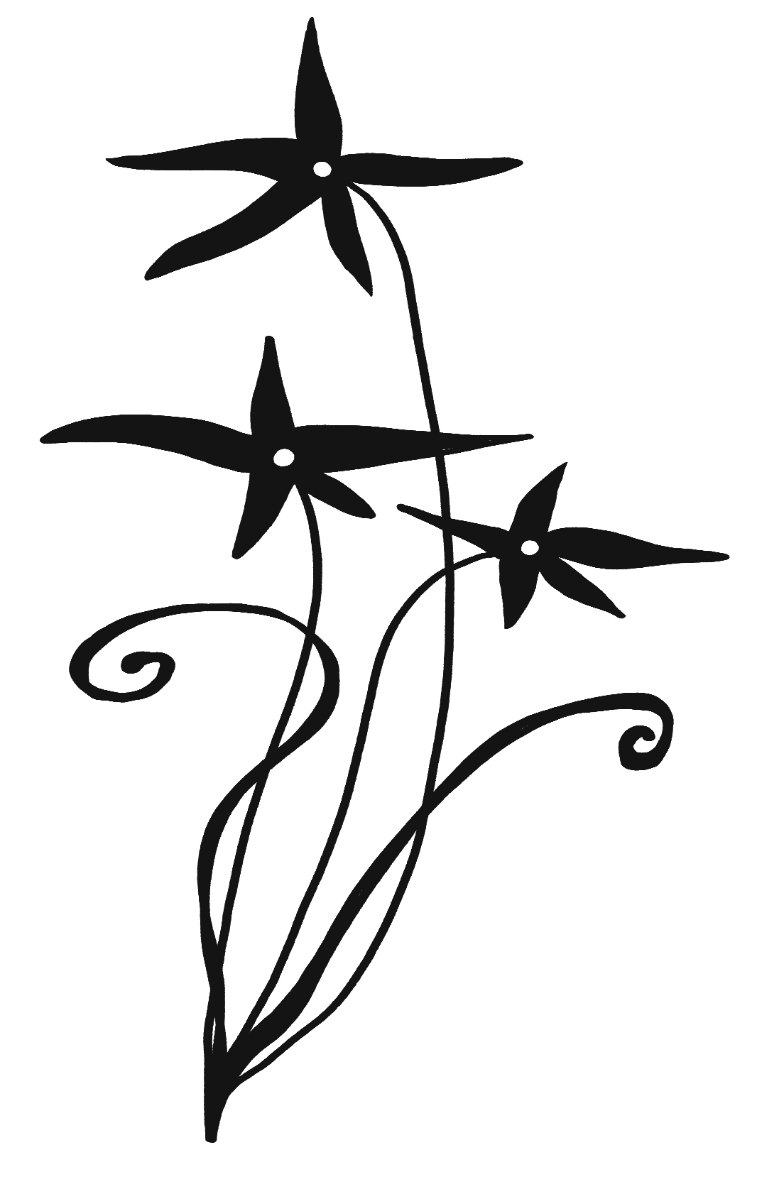 Black silhouette of star-shaped flowers with curly stems on a white background.