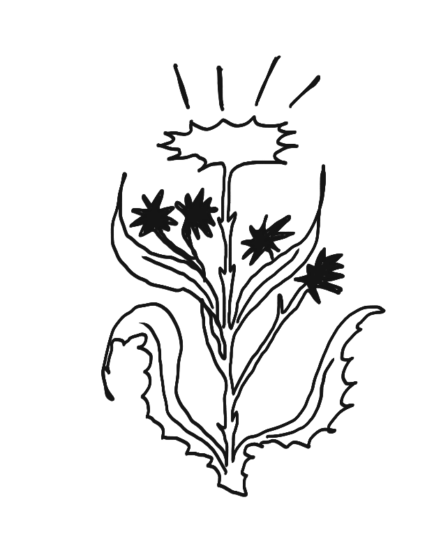 Black and white line drawing of a dandelion with seeds blowing in the wind.