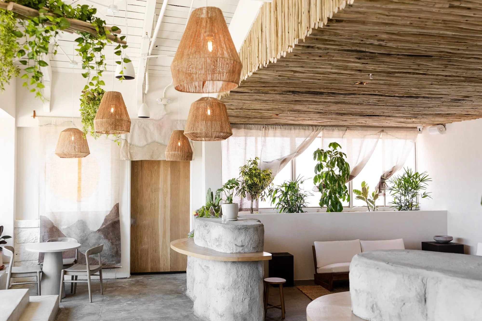 Coral Club