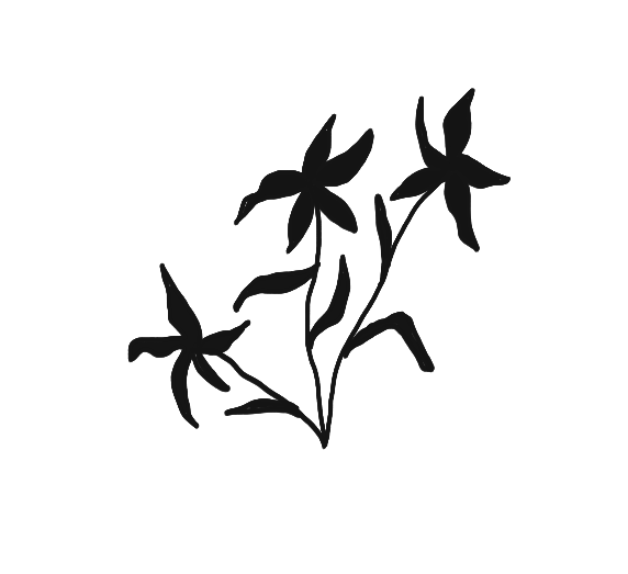 Silhouette of a simple flower illustration with three blossoming flowers and slender stems.