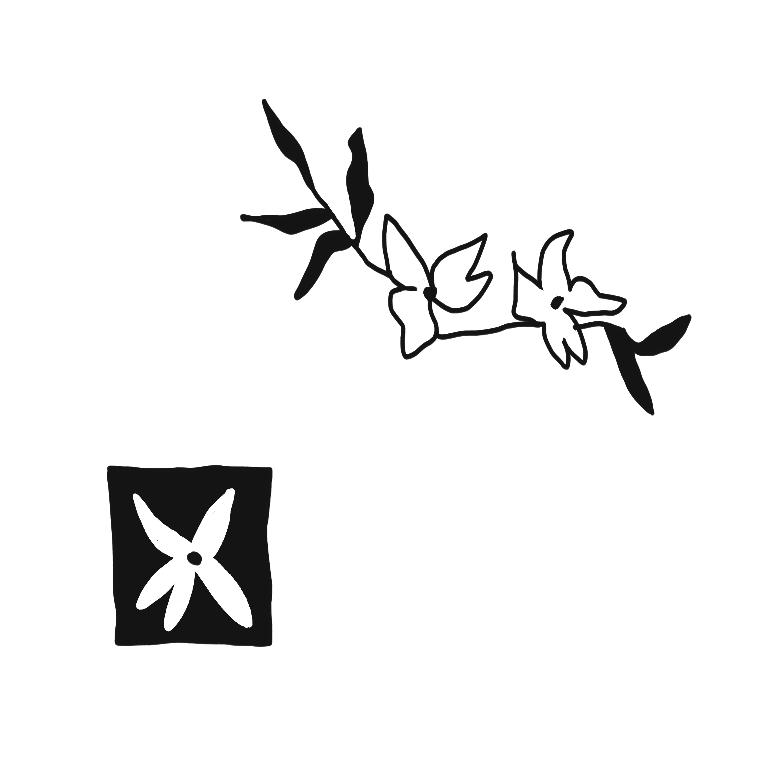 Outline drawing of a dragonfly with detailed wings, a branch with leaves, and a smaller dragonfly illustration inside a square.