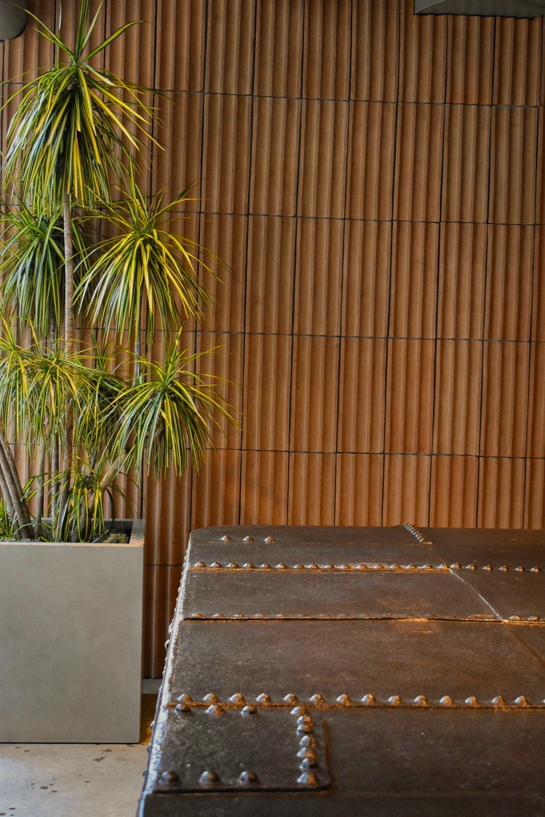 Interior scene with a tall potted plant with green and yellow leaves on the left, a brown wooden wall in the background, and a metallic table in the foreground.