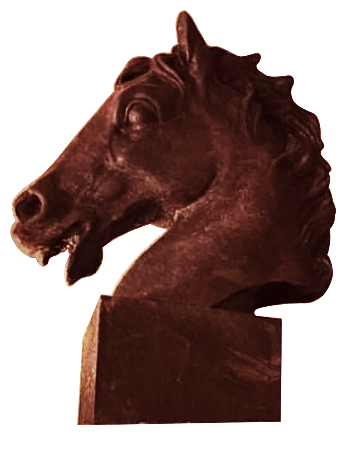Close-up of a bronze statue of a horse's head on a rectangular base.