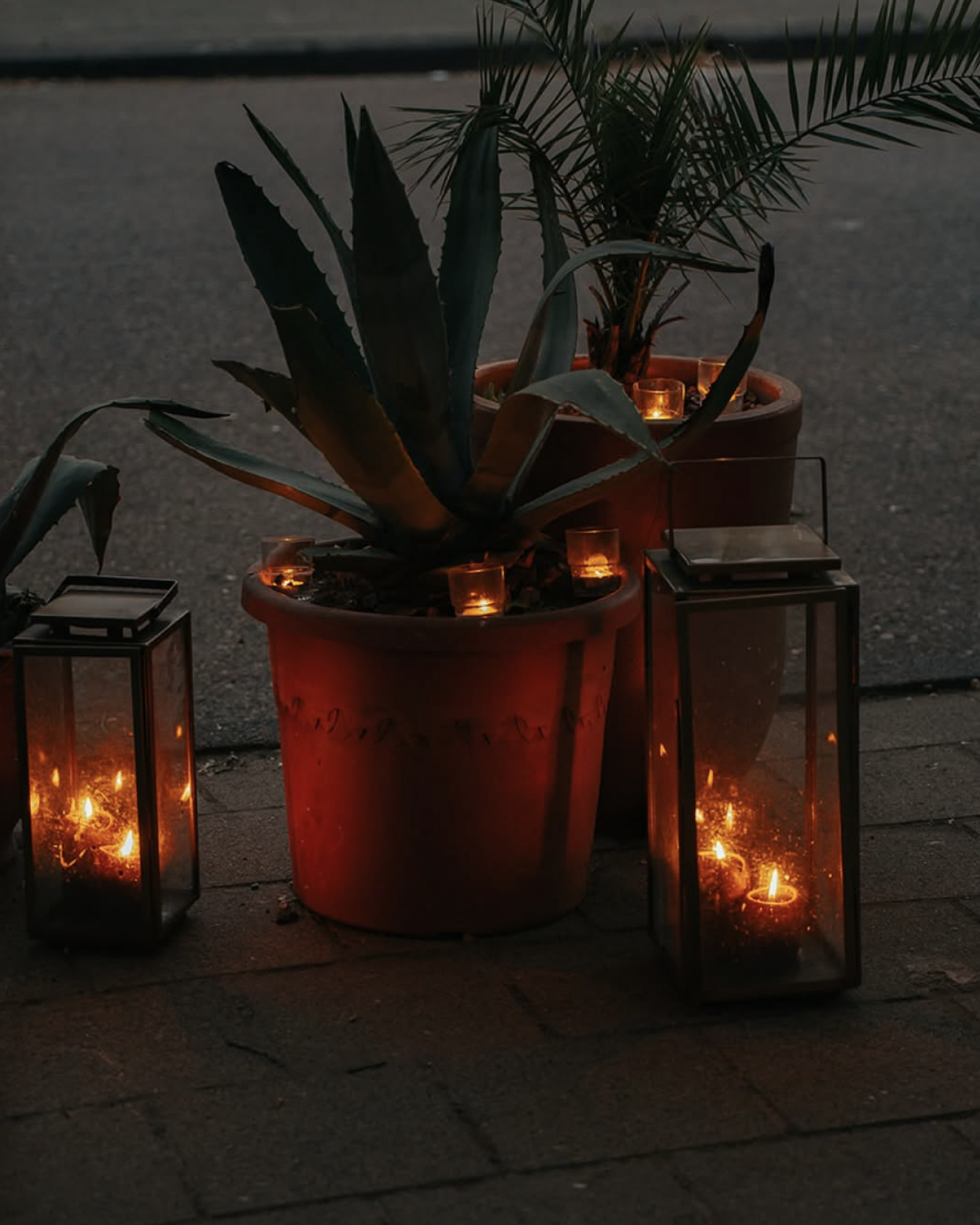 Small candles lit inside glass lanterns around potted plants on a sidewalk at dusk.