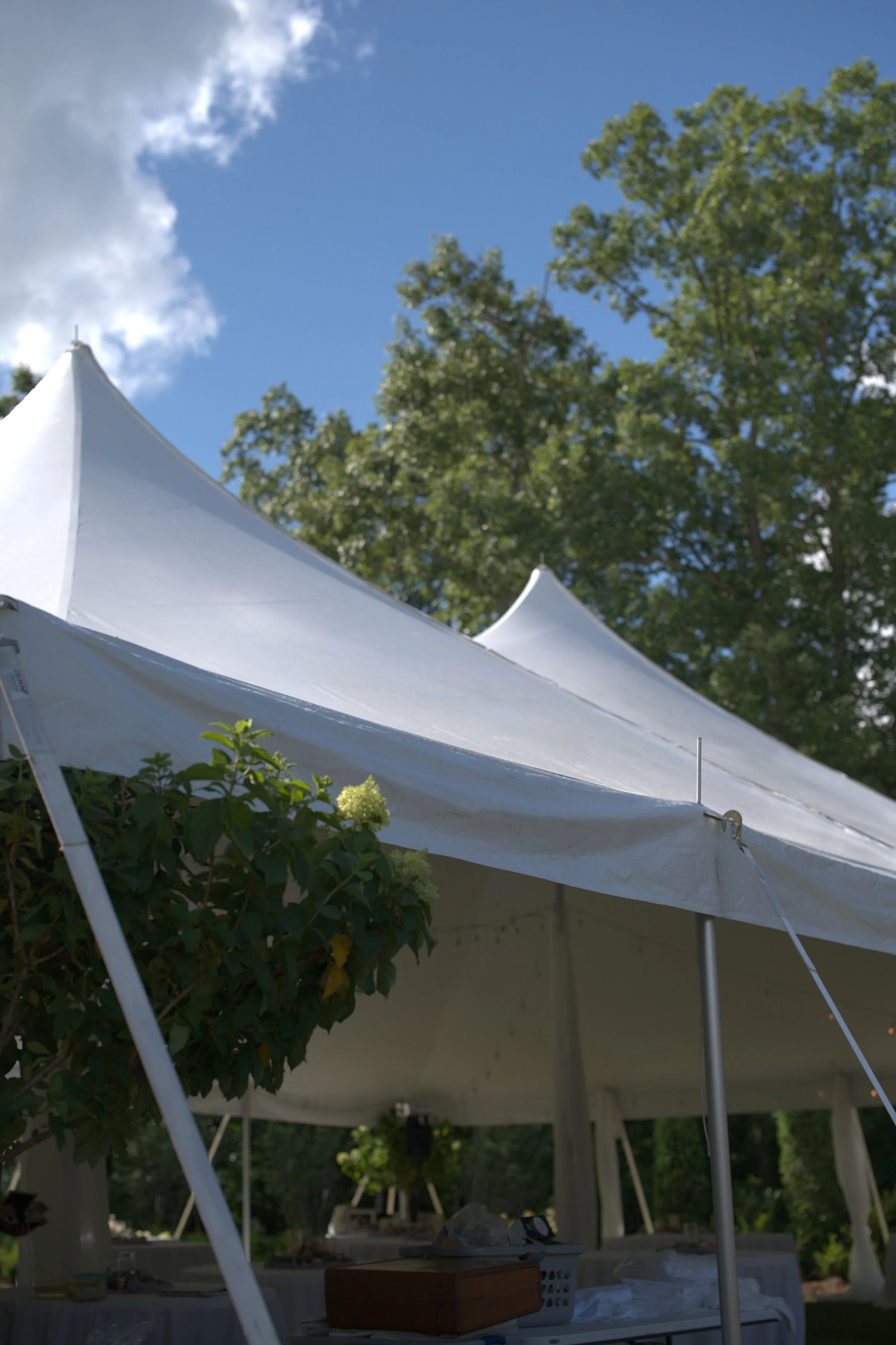 A white event tent set up outdoors with green trees and blue sky in the background.