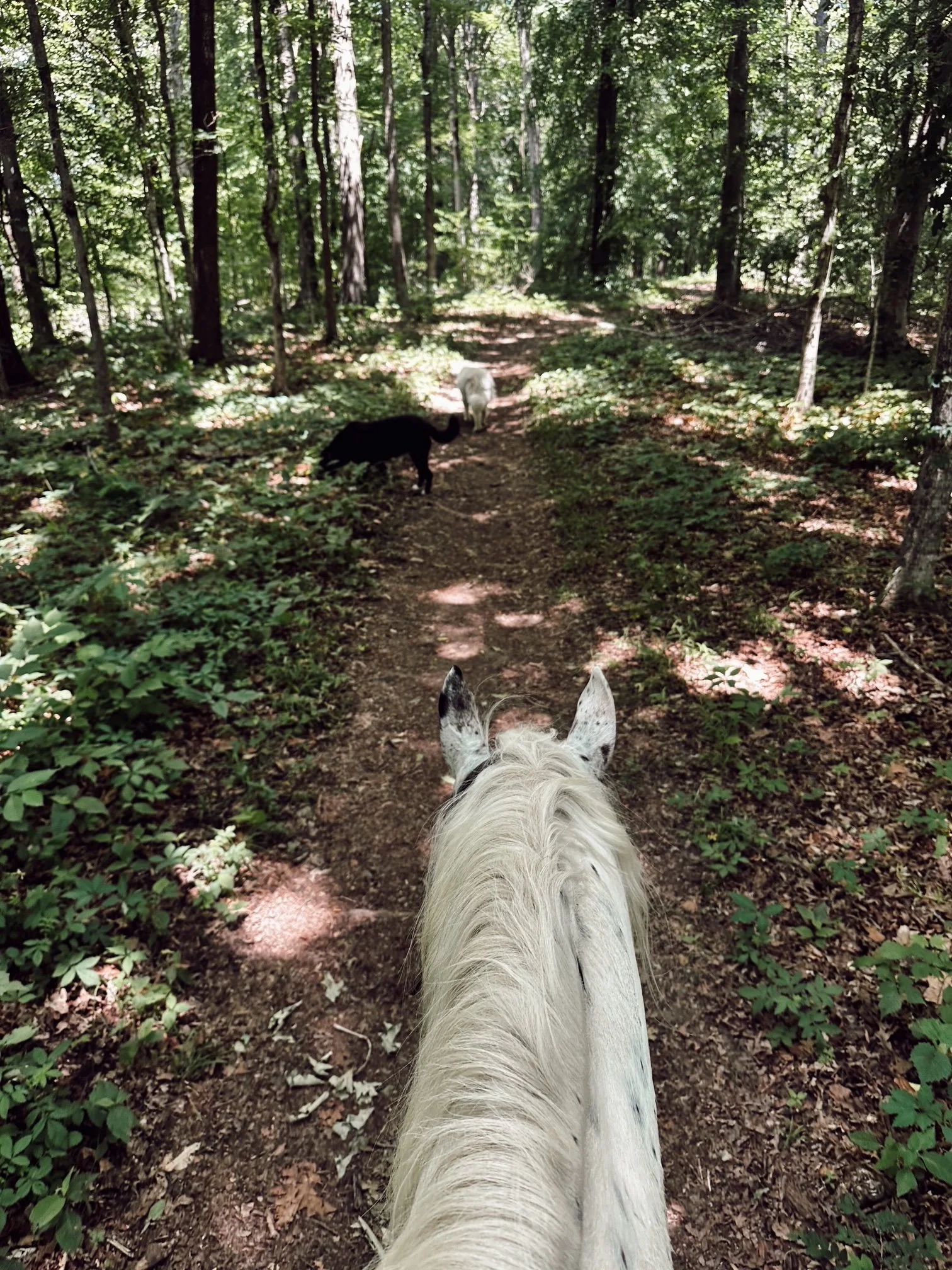 Outdoor Adventures