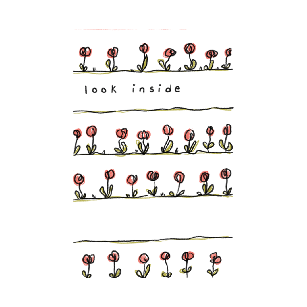 Curioko Shop - Product Images-17.png