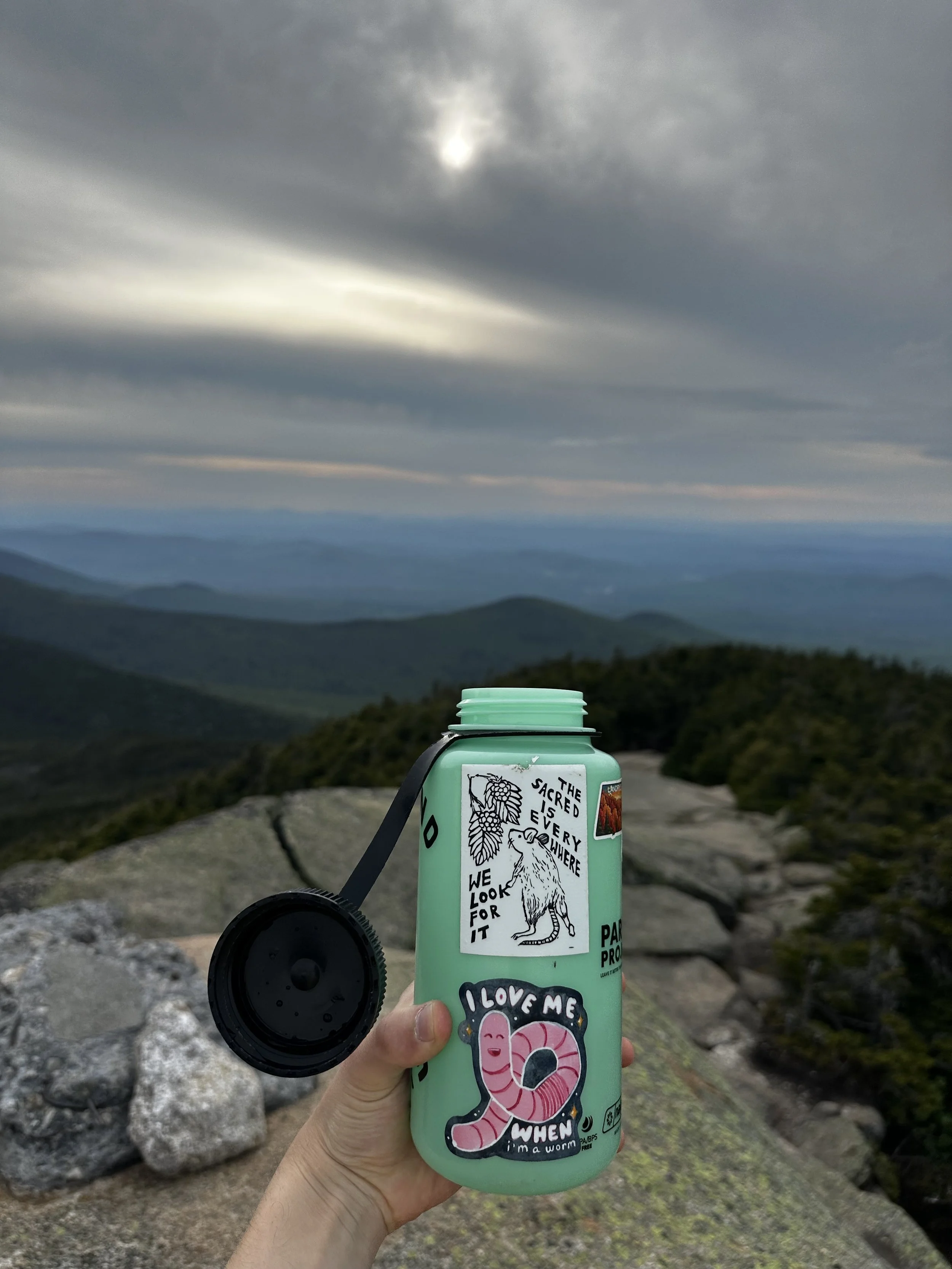 radical acceptance worm_on a mountain.jpg