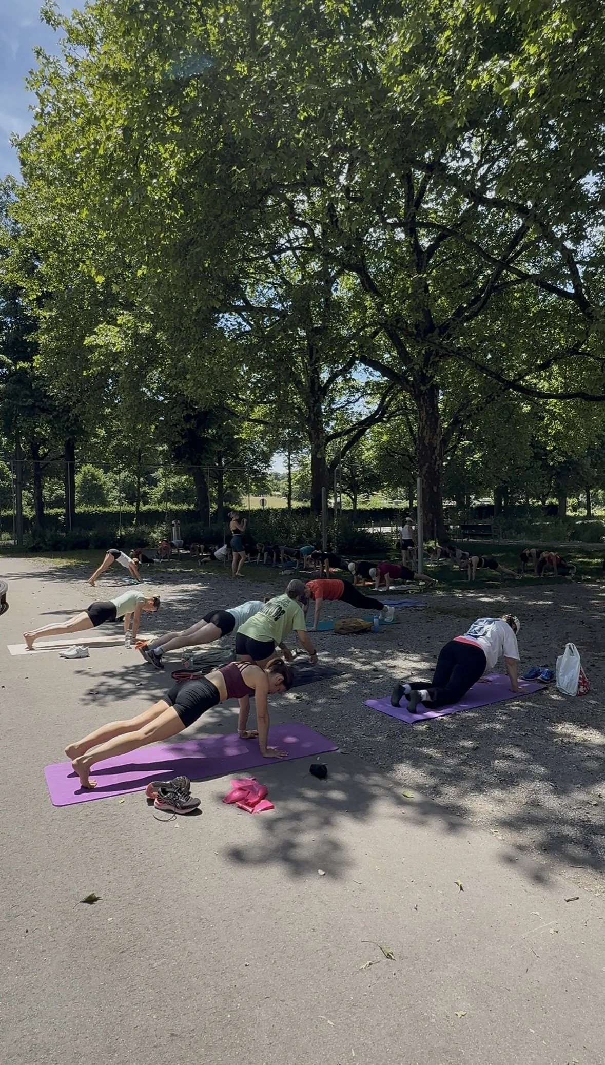 CALISTHENICS SUMMER WORKSHOP (OUTDOOR)