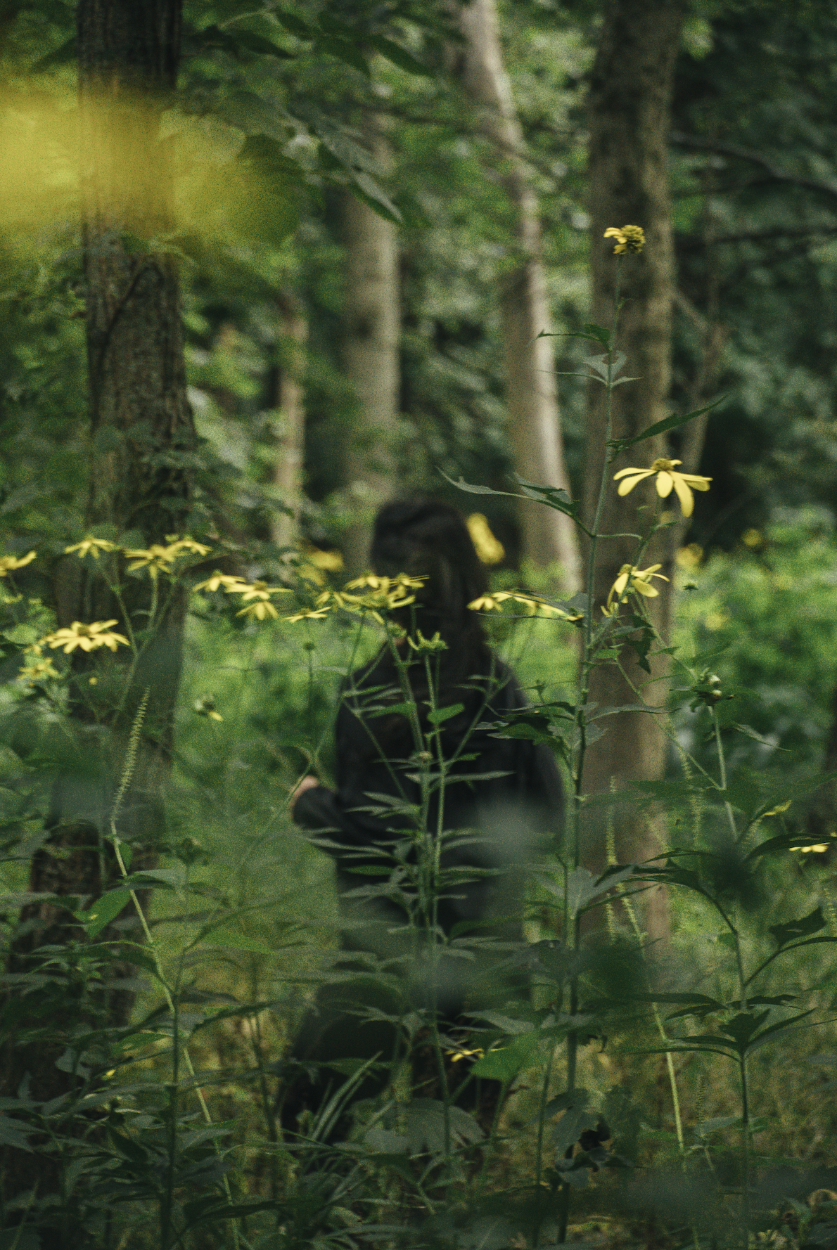 Screenshot 2026-01-29 at 2.20.05 PM.png