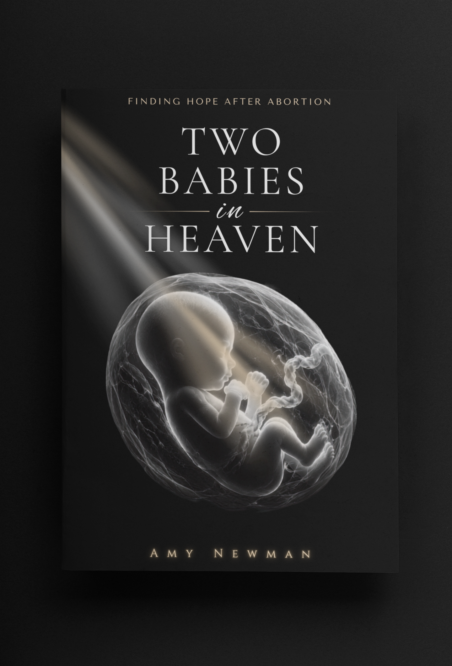 Book cover for 'Two Babies in Heaven' by Amy Newman, featuring a glowing illustration of a baby curled inside a womb on a black background.