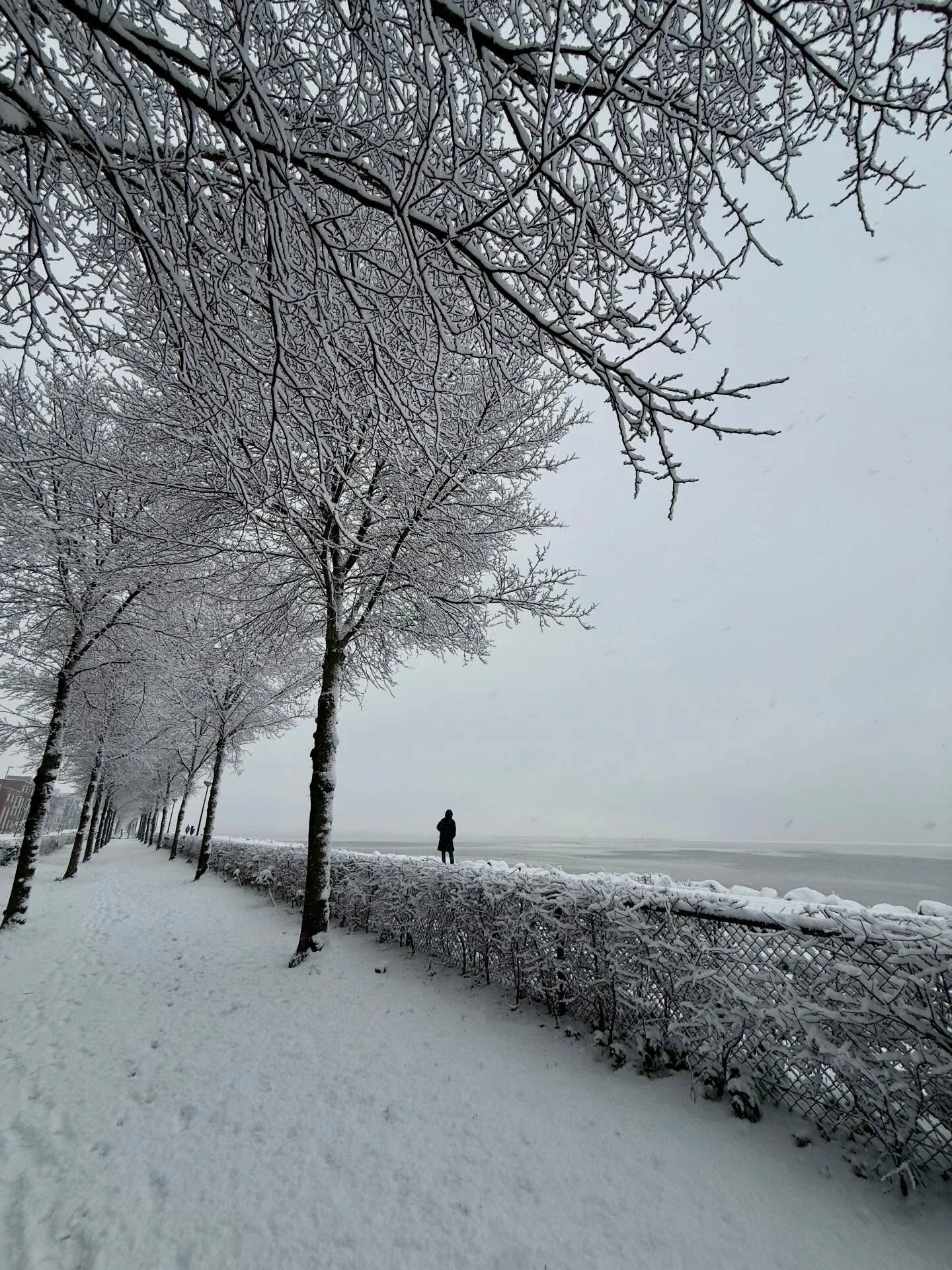 🩵 Er zijn van die dagen
dat de wereld stiller wordt 
terwijl je kijkt.
Het sneeuwt.
Een wit deken 
legt zich over alles heen.

Geluid wordt zachter.
Beweging vertraagt.
De wereld lijkt even te ademen.
Aan de oppervlakte gebeurt weinig.
En precies da