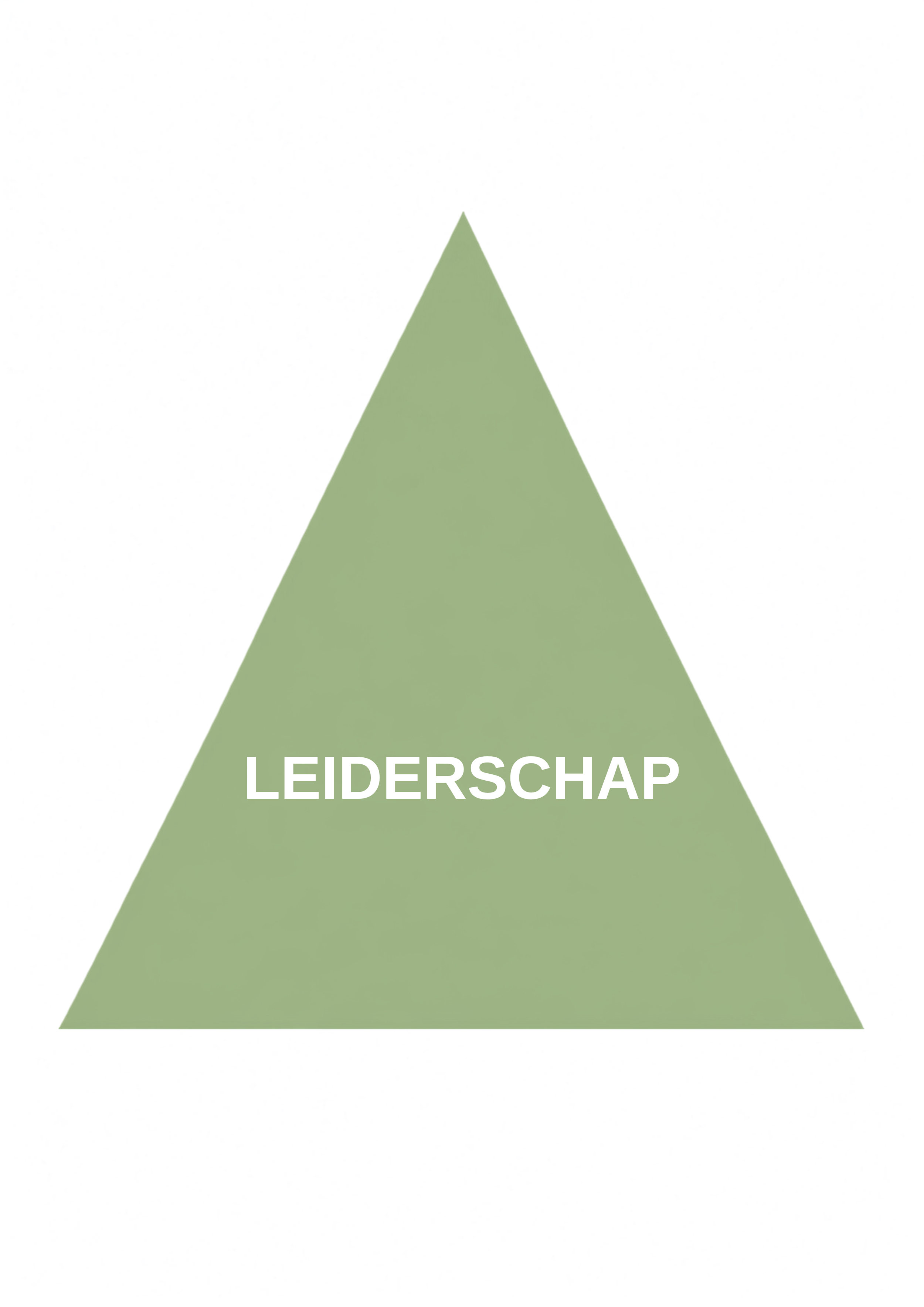 online training over leiderschap, hoe leidt je jezelf in dit leven, hoe neem je leiding, authentiek.