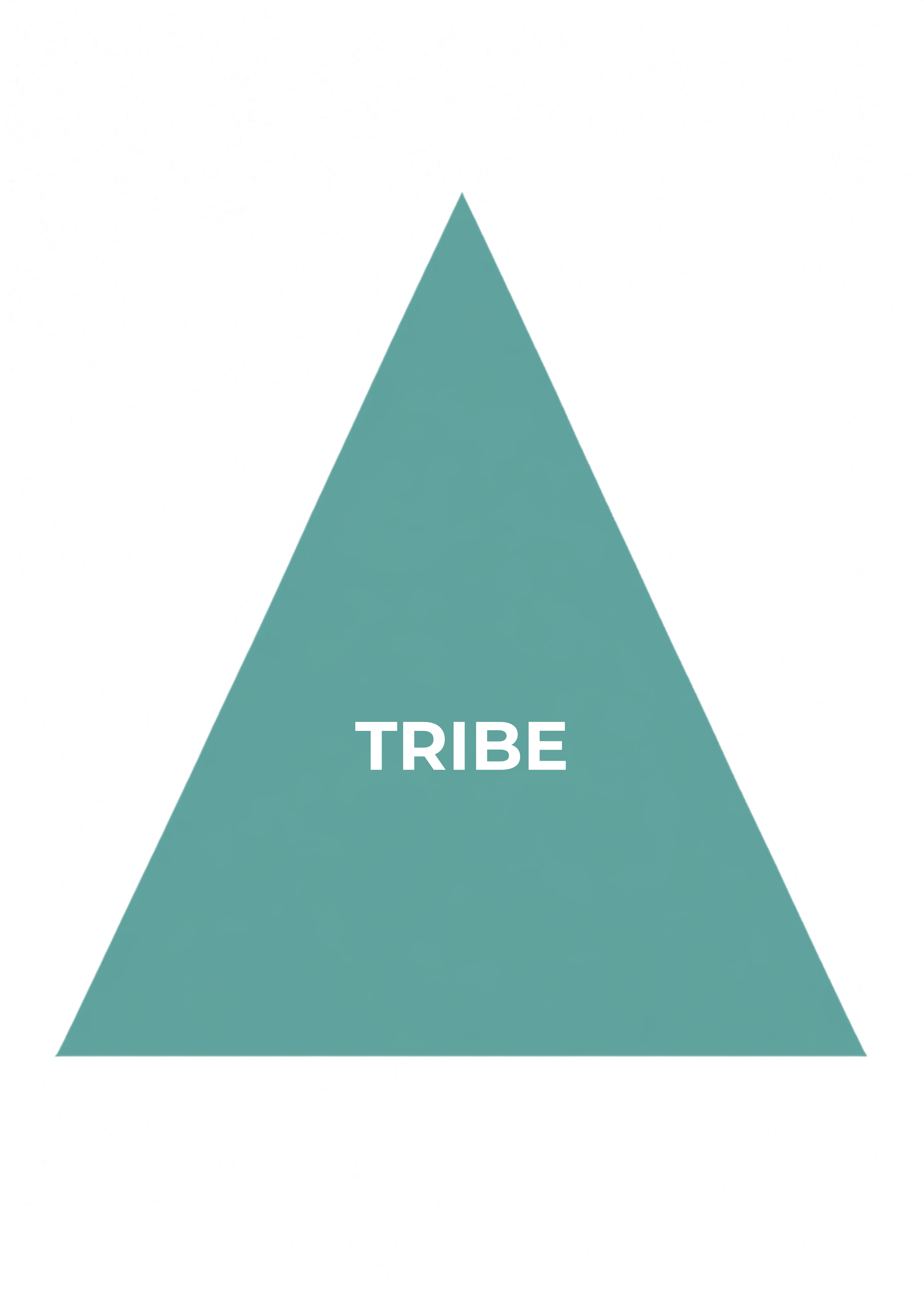 Wie is je tribe, wat doet dat met je, bij wie kom je thuis. Online training over de mensen in je directe omgeving en hun invloed.