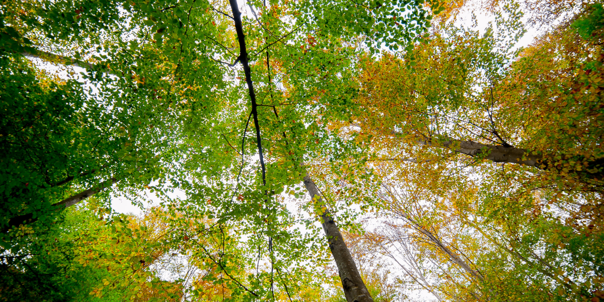 Mindfulness — No Yoga Mat Required